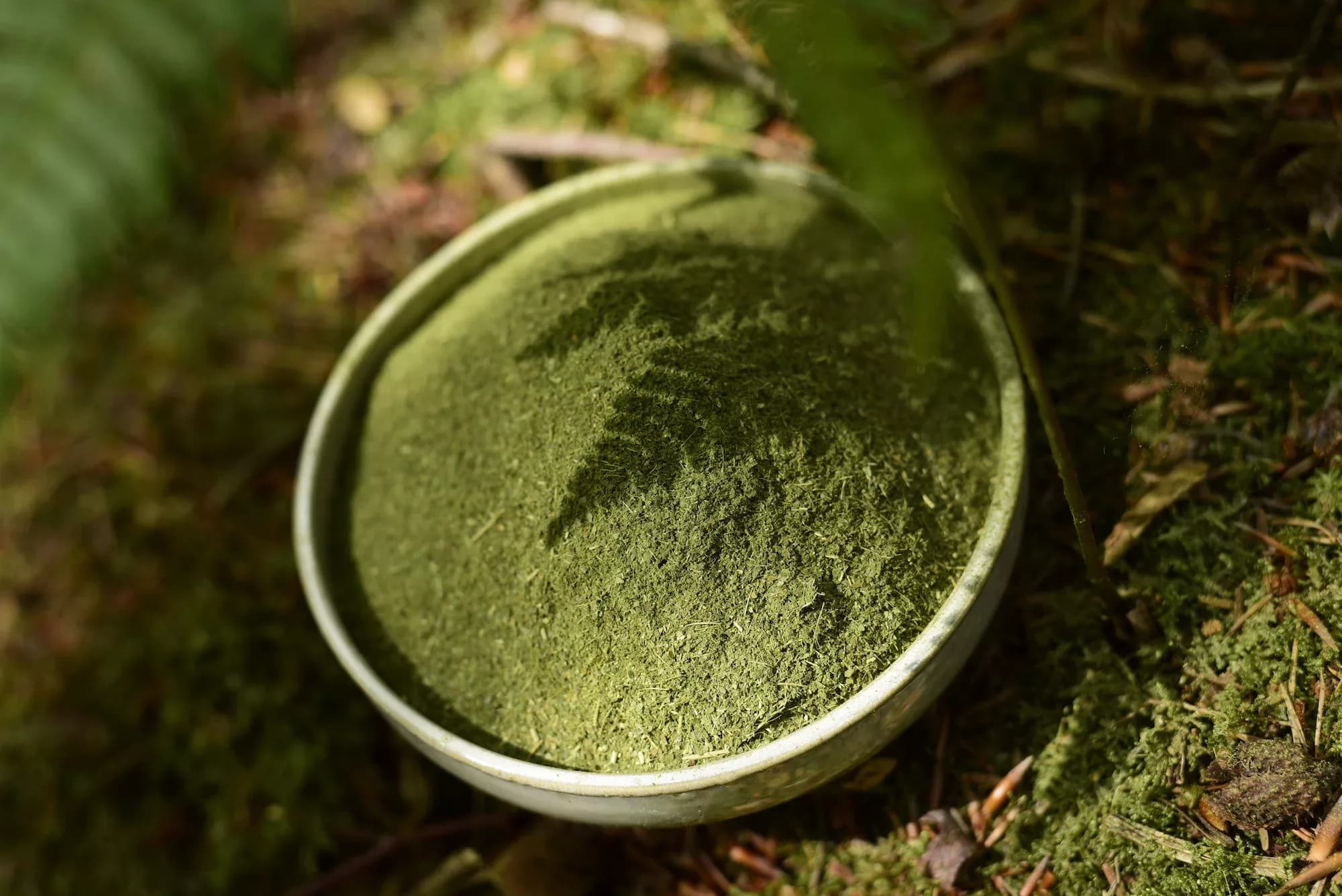 Ajo Sacha — vue 4
