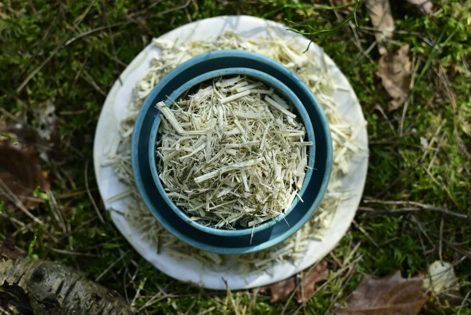 Ajo Sacha — vue 5