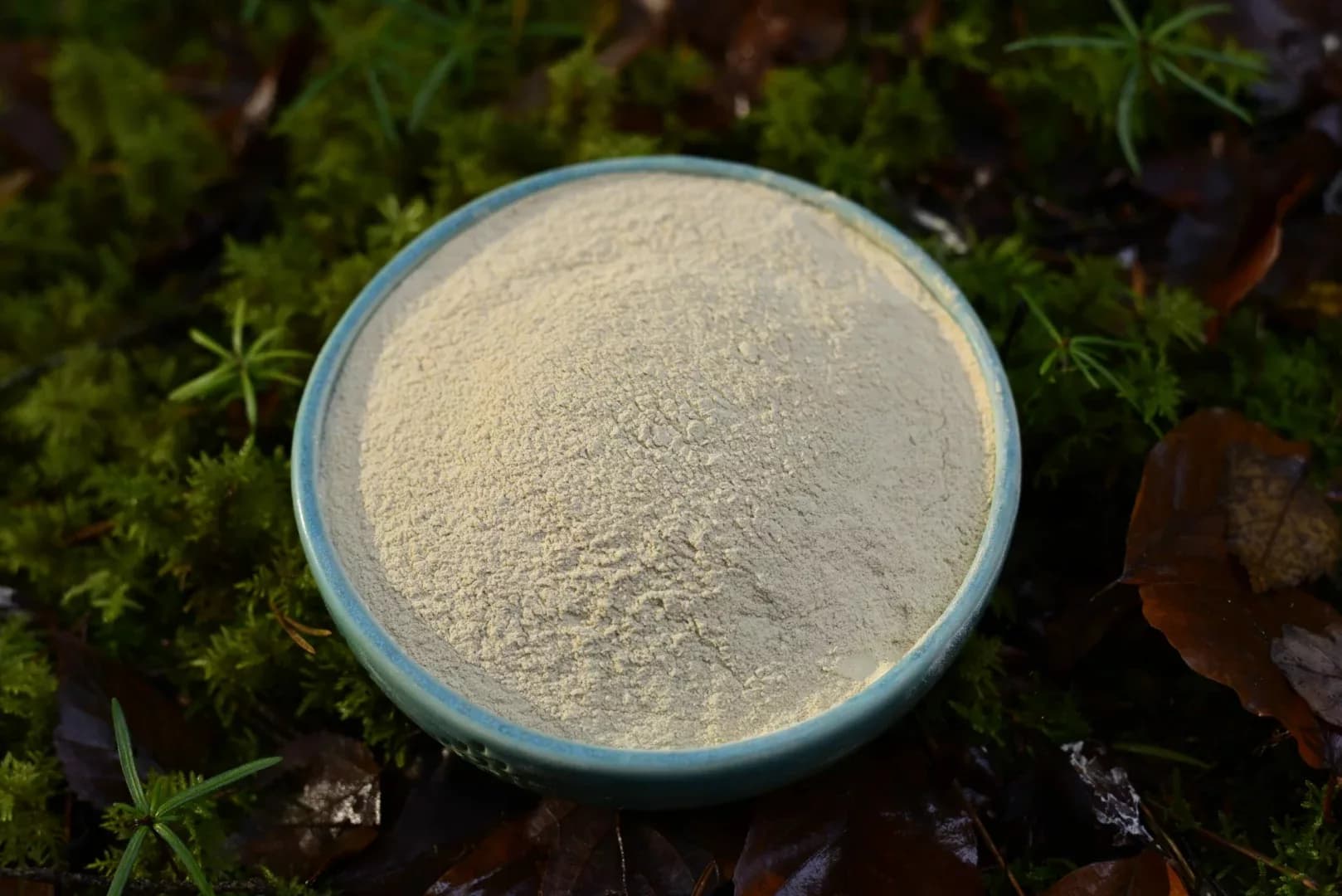 Ashwagandha — vue 2