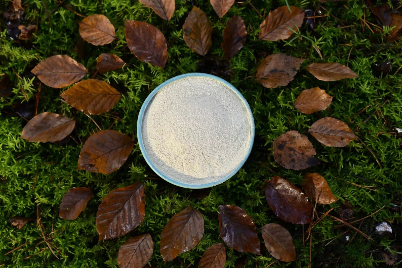 Ashwagandha — vue 3