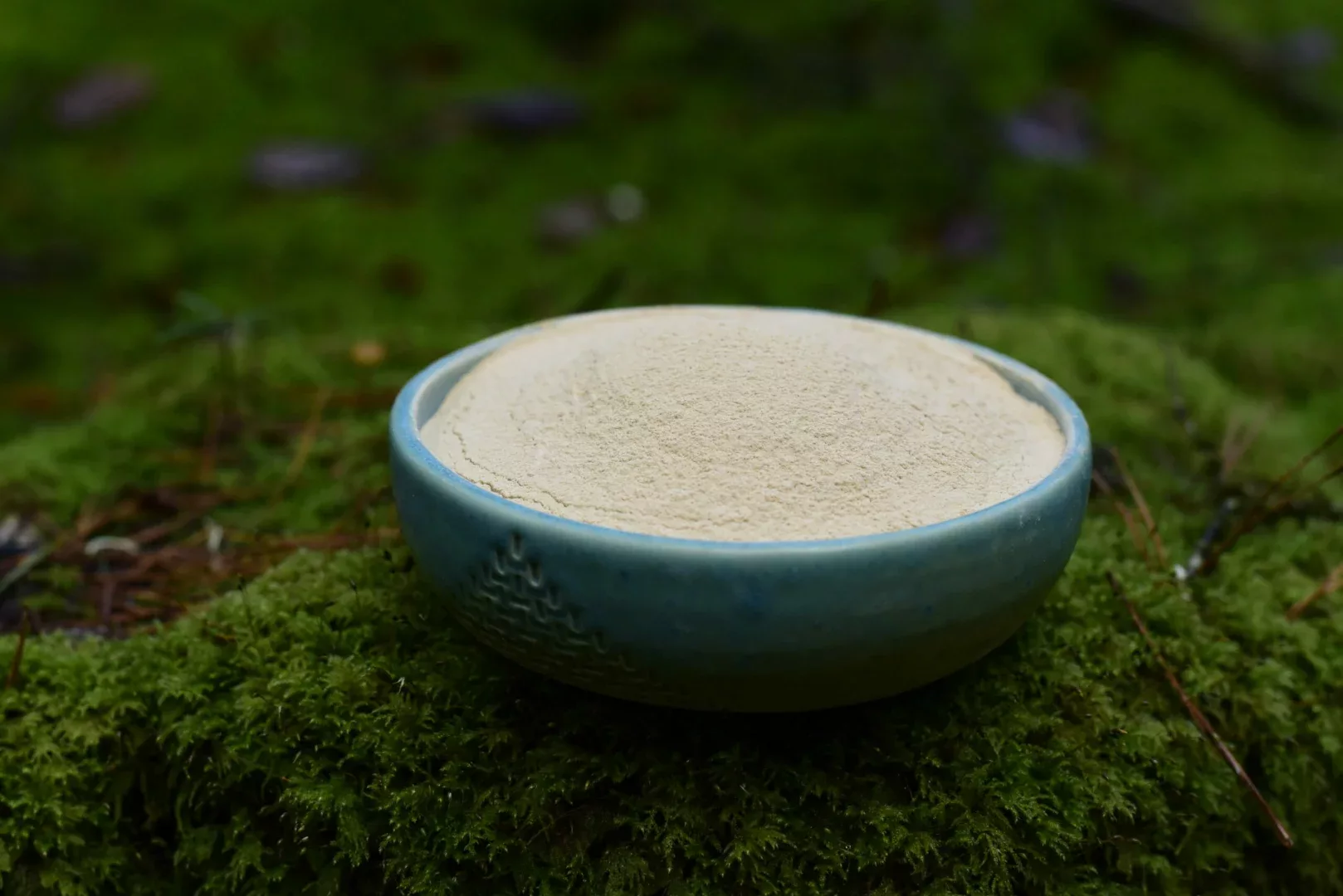 Ashwagandha — vue 4