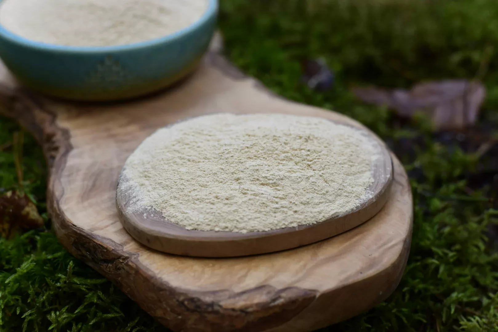 Ashwagandha — vue 5