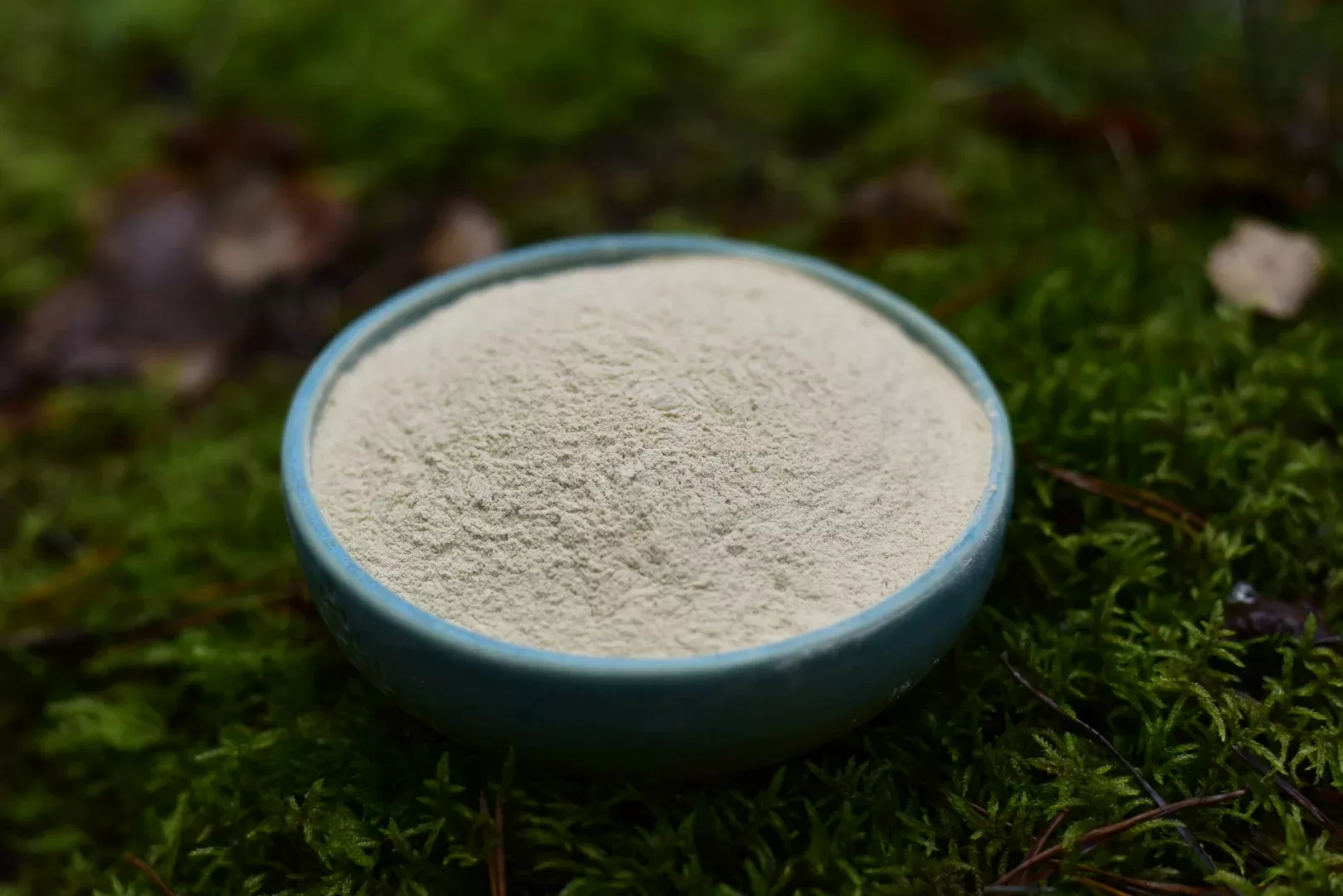 Ashwagandha — vue 6
