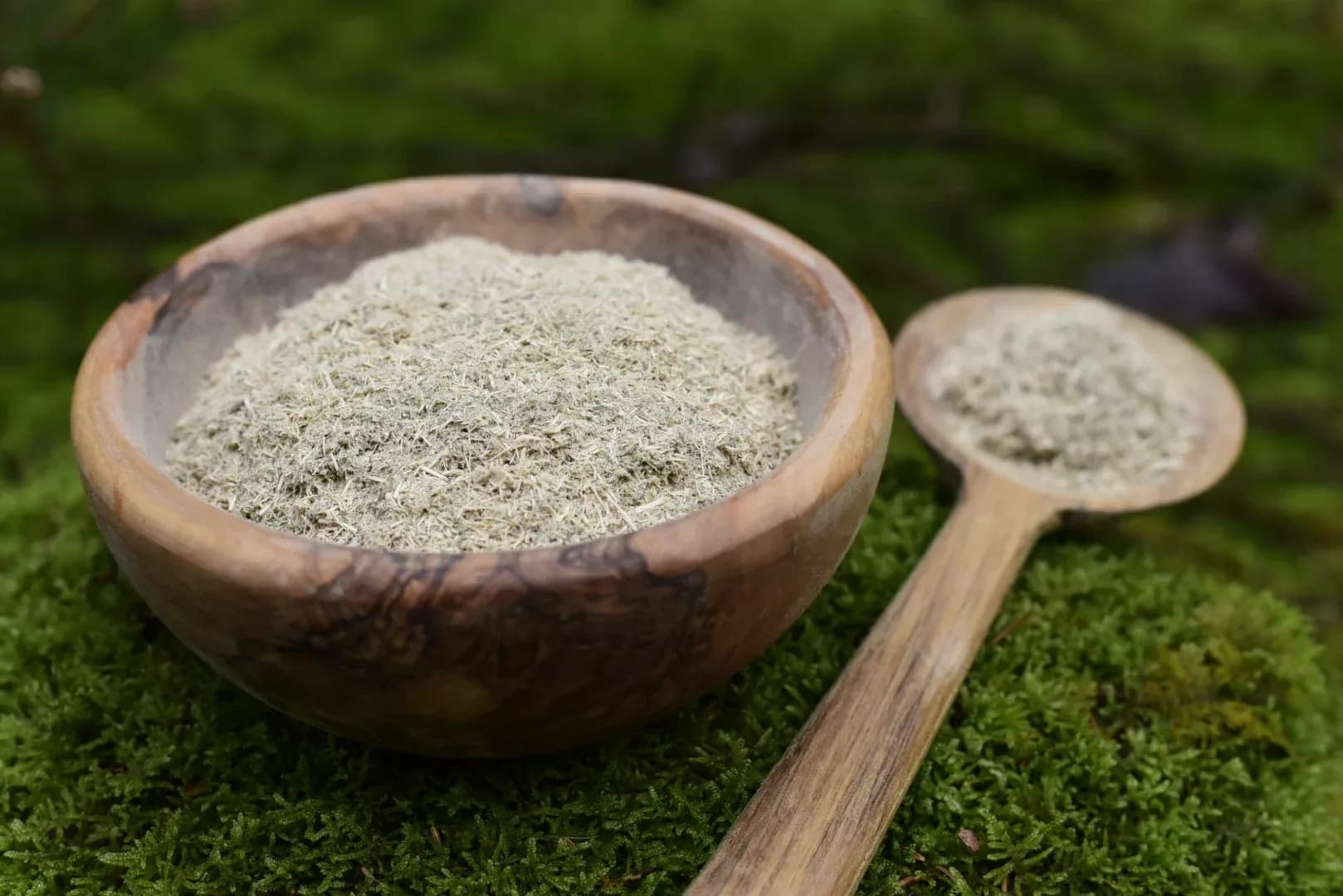 INFUSE — soixante plantes, trois mondes