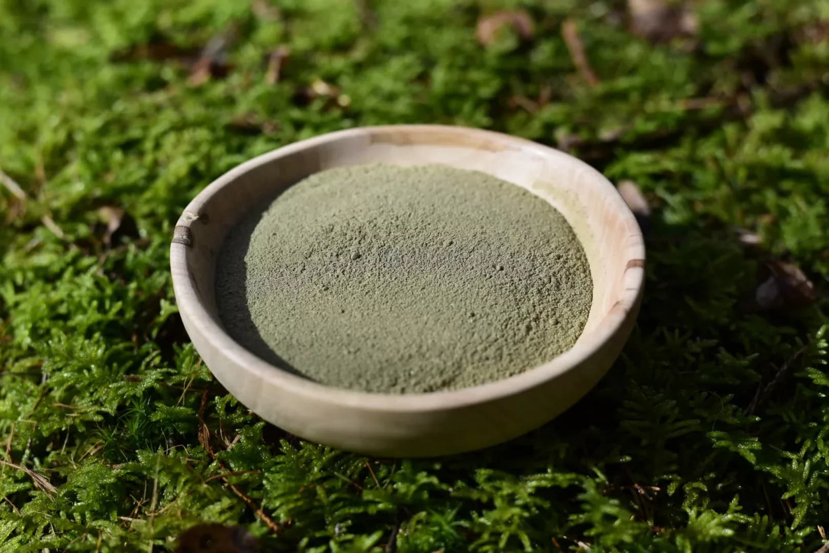 Brahmi — vue 4