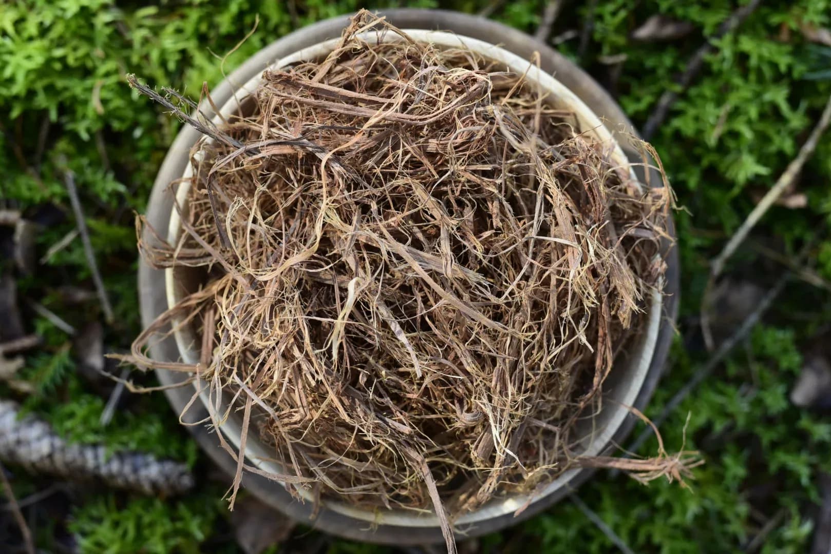 Cat's Claw — vue 3