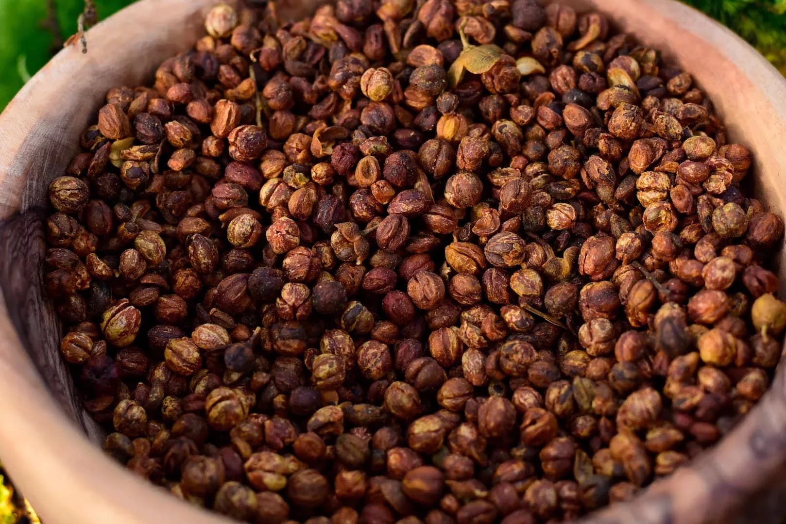 Celastrus Seeds — vue 8