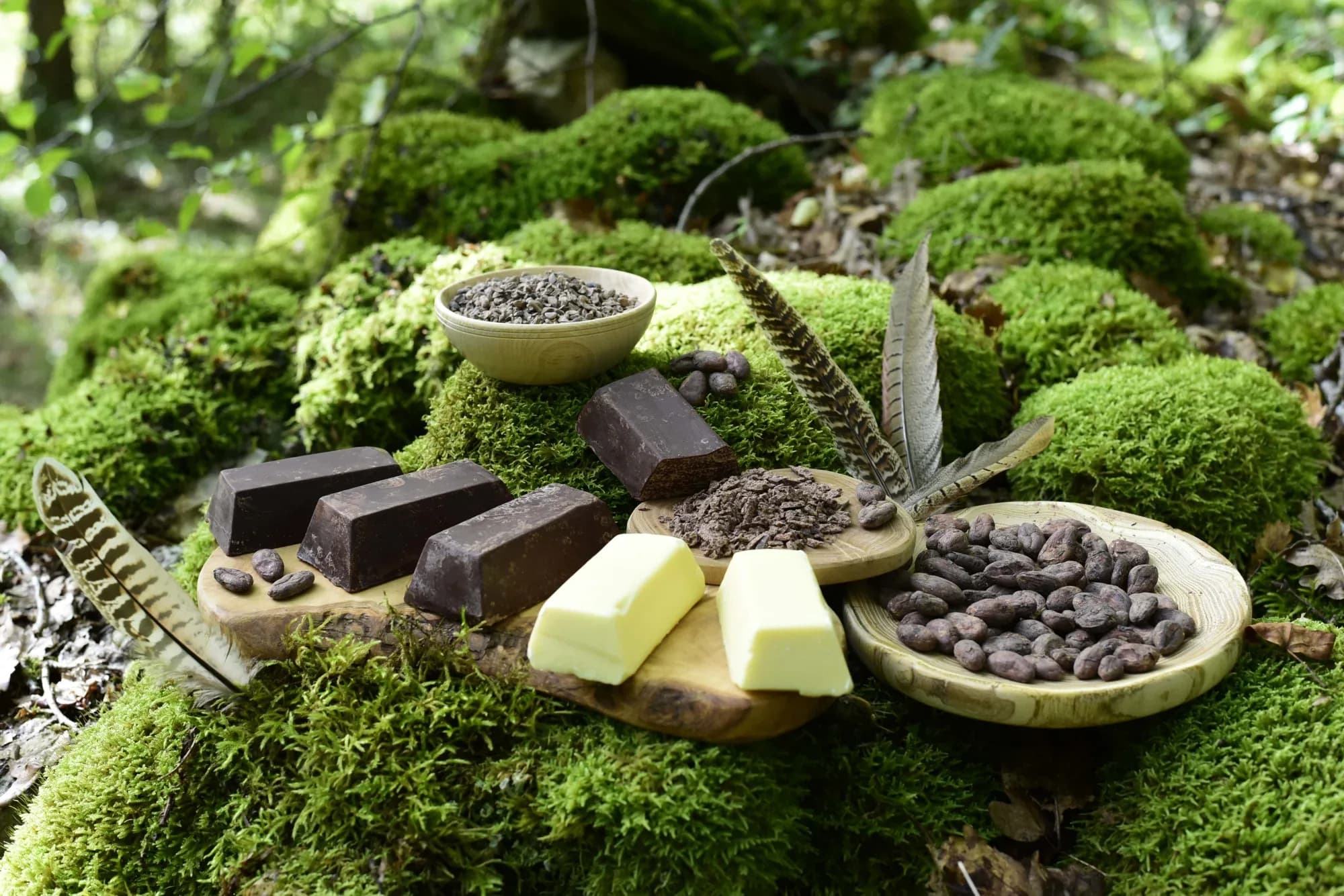 Ceremonial Cacao — vue 4