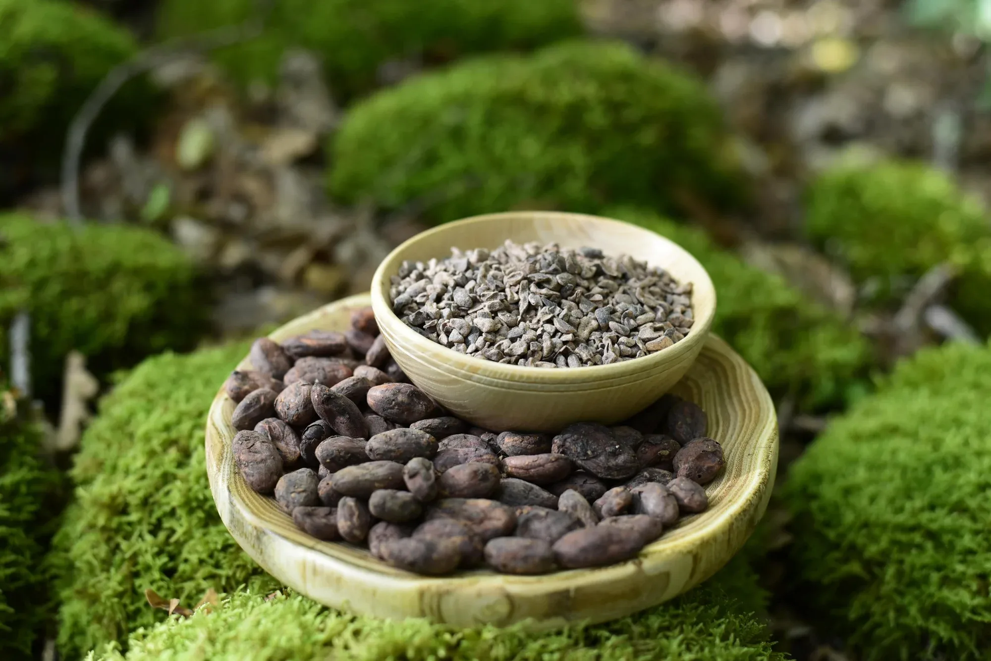 Ceremonial Cacao — vue 5