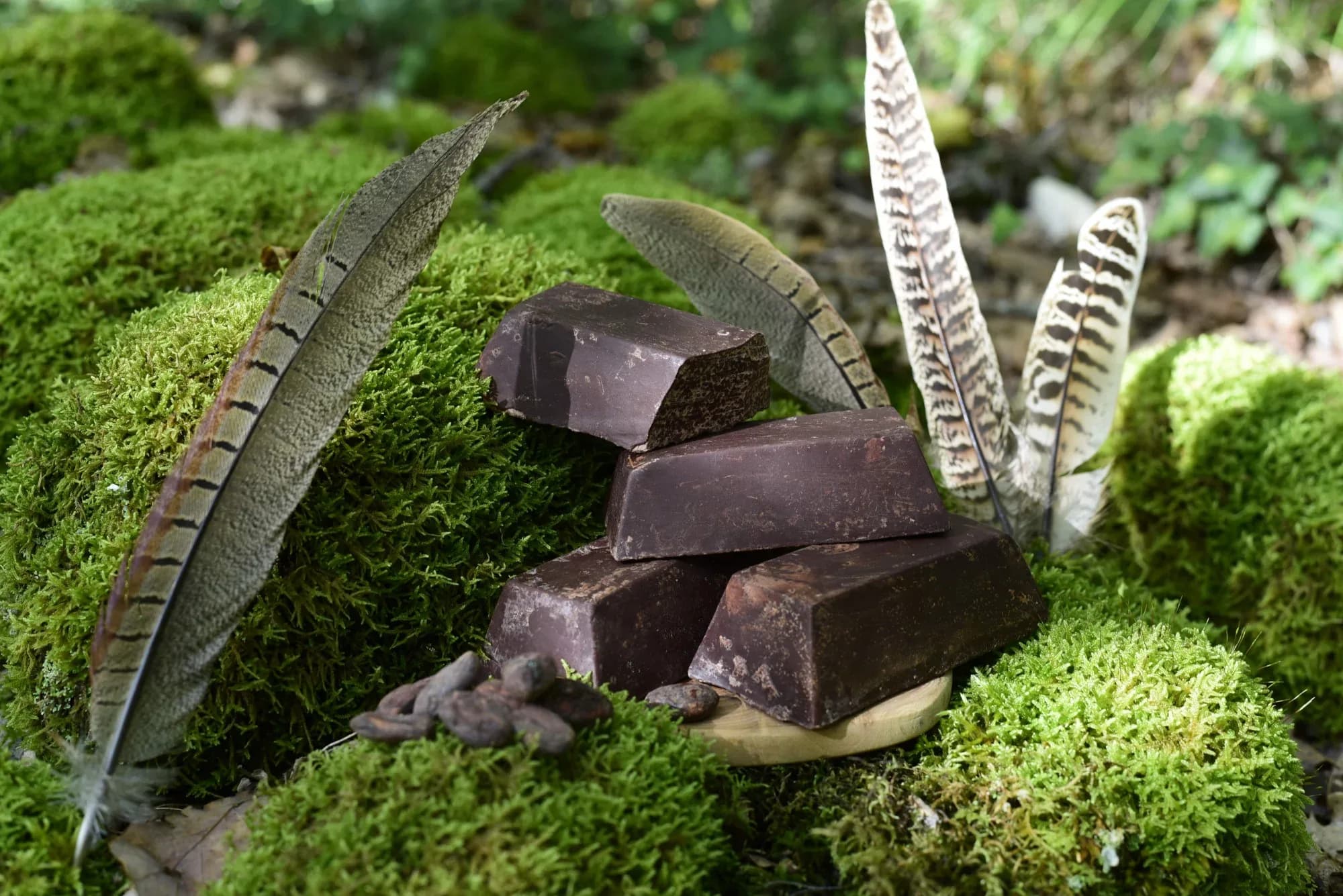 Ceremonial Cacao — vue 6
