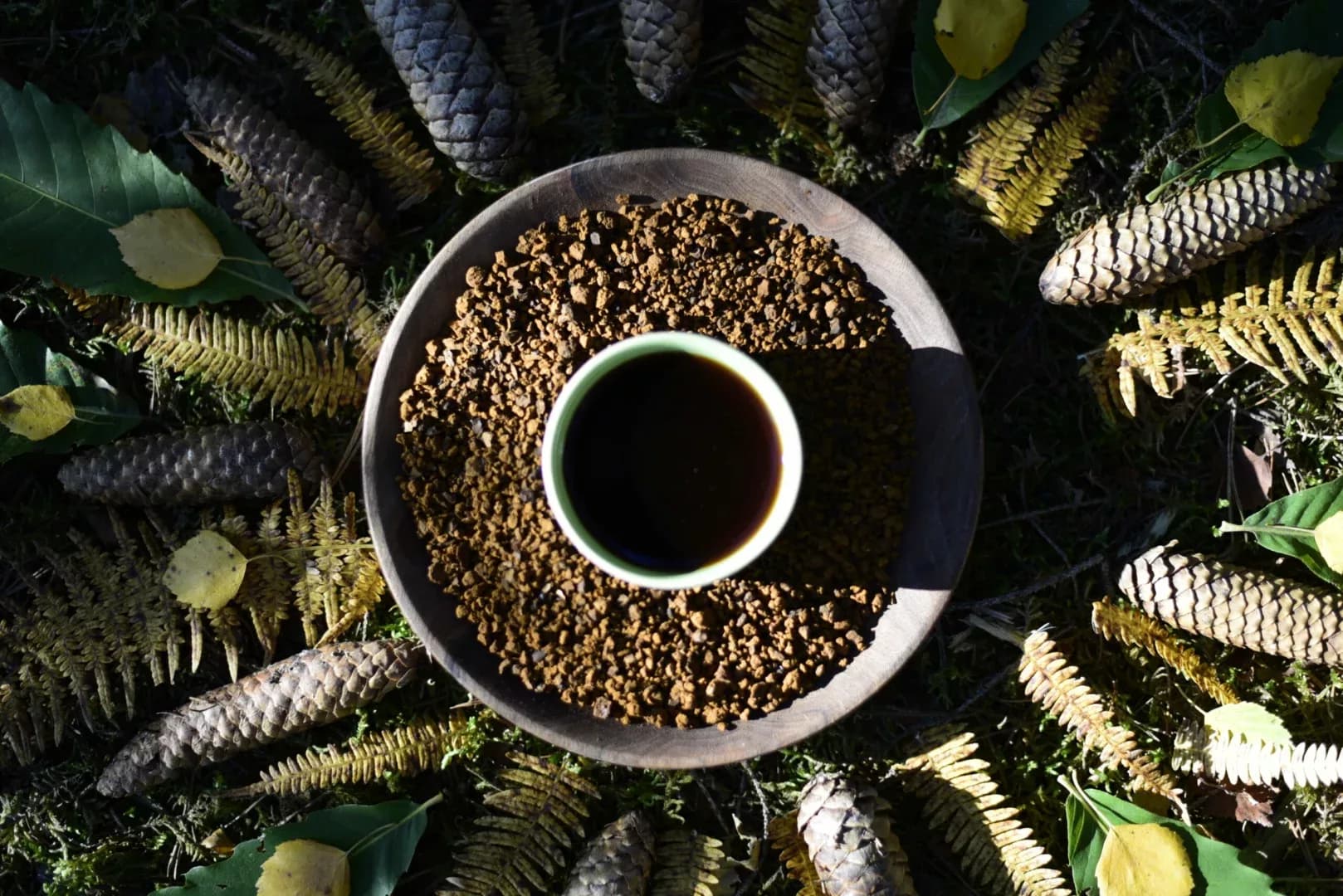 Chaga Yaga — vue 3