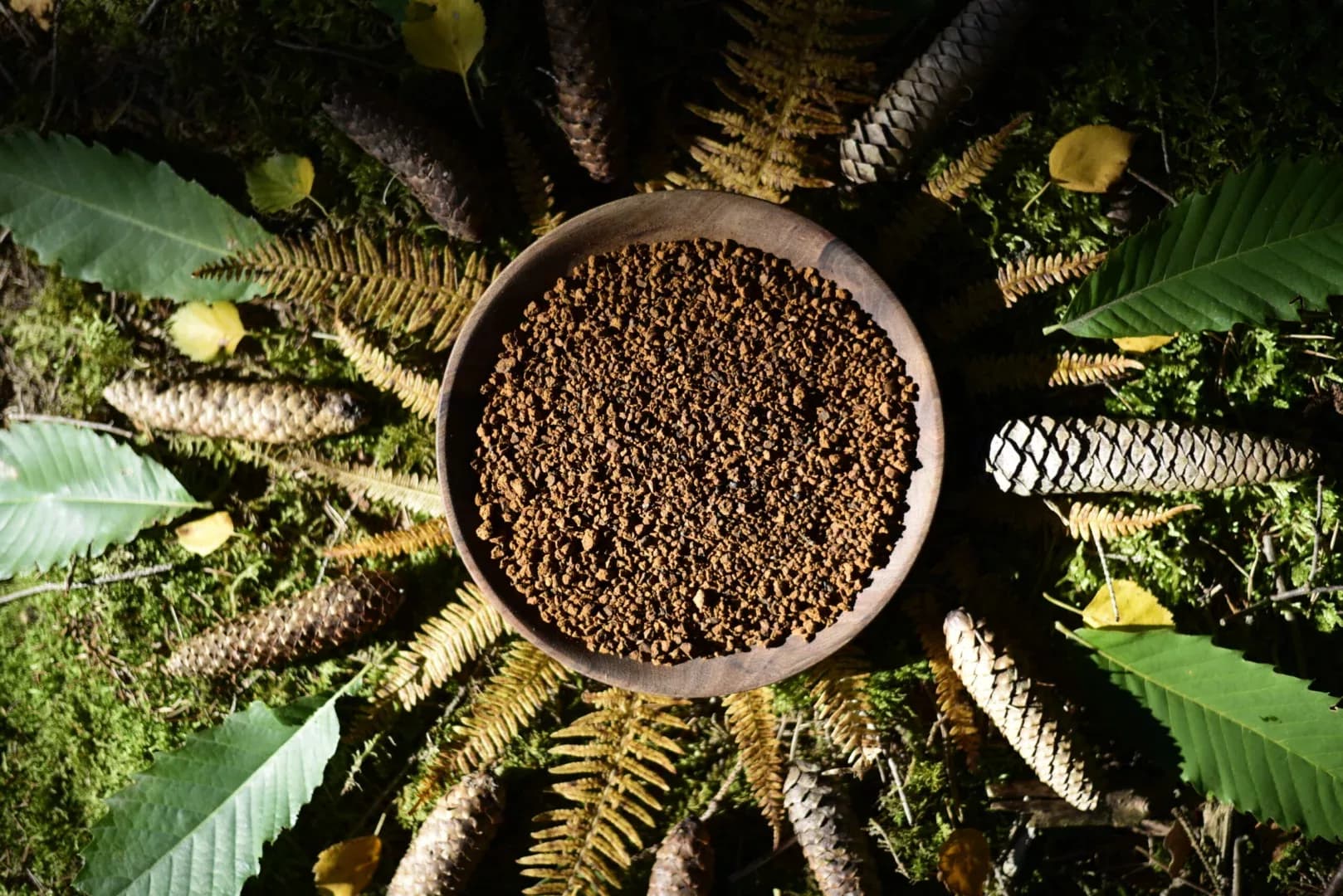 Chaga Yaga — vue 4