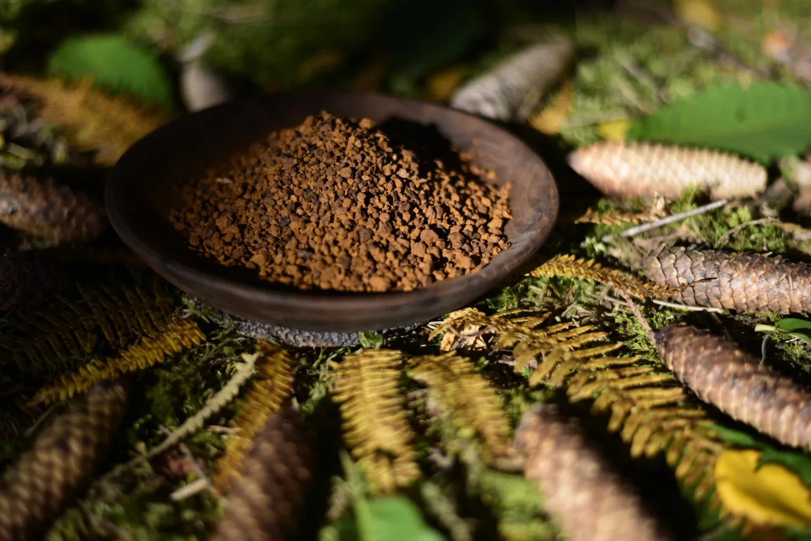 Chaga Yaga — vue 5