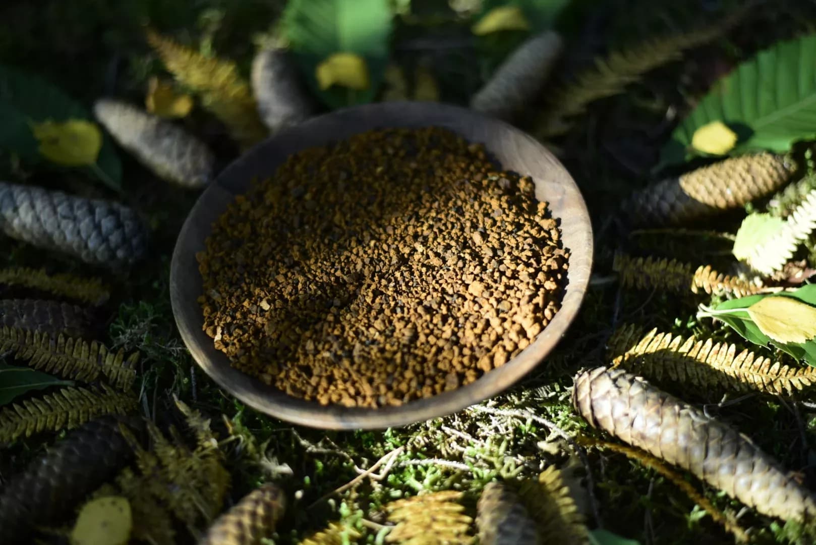 Chaga Yaga — vue 6
