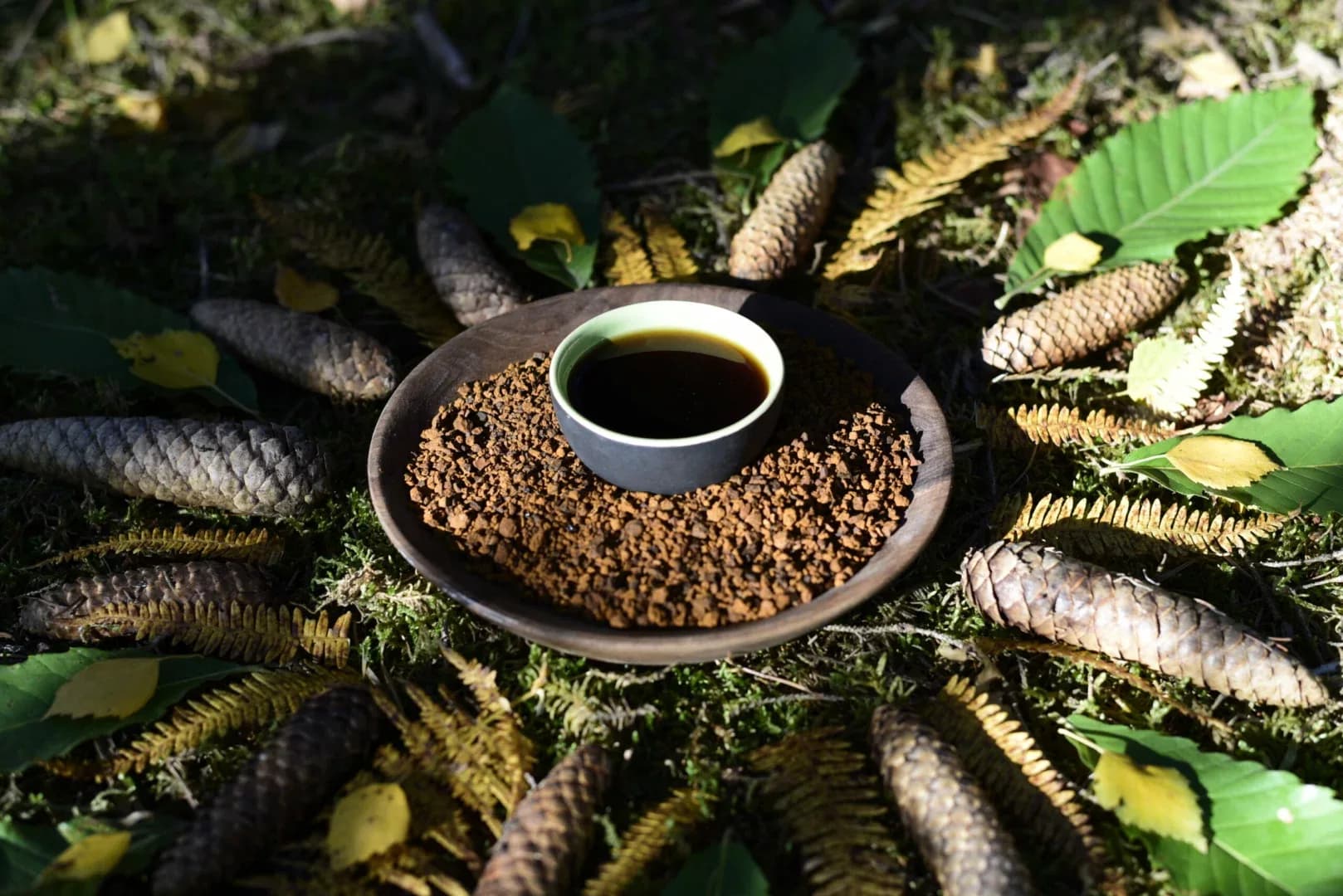 Chaga Yaga — vue 7
