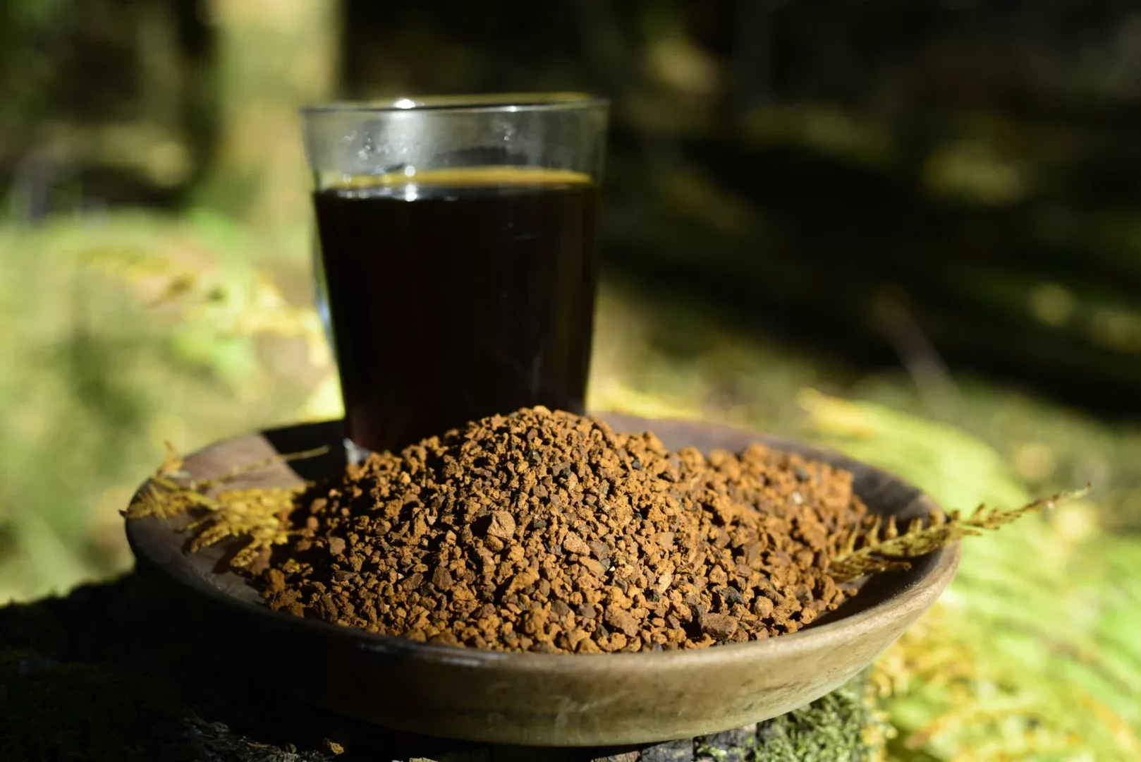 Chaga Yaga — vue 8