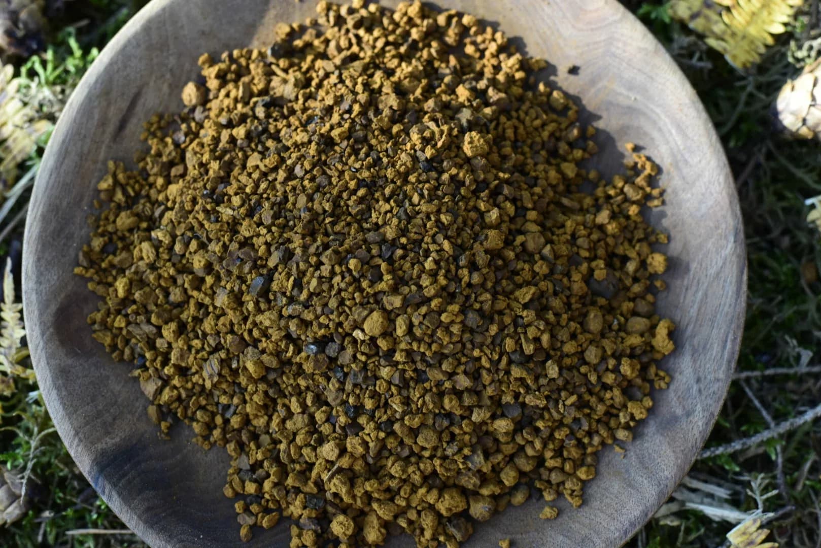 Chaga Yaga — vue 9