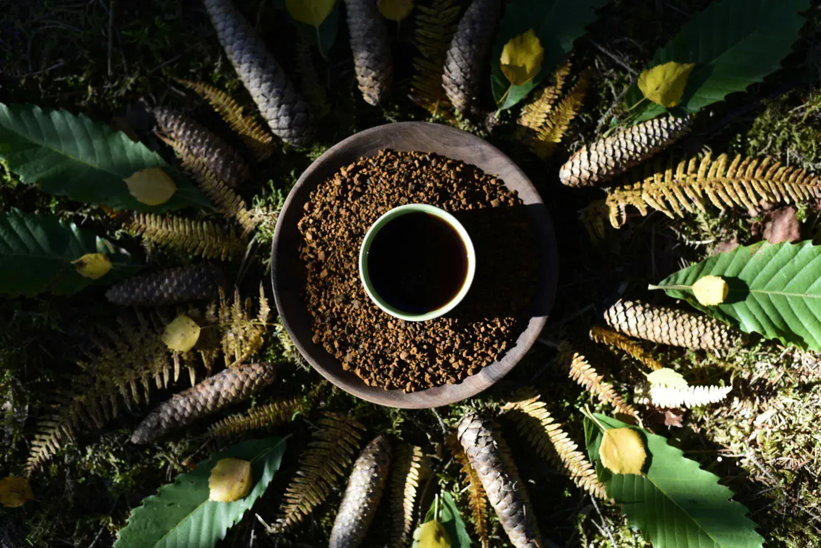 Chaga « Yaga »