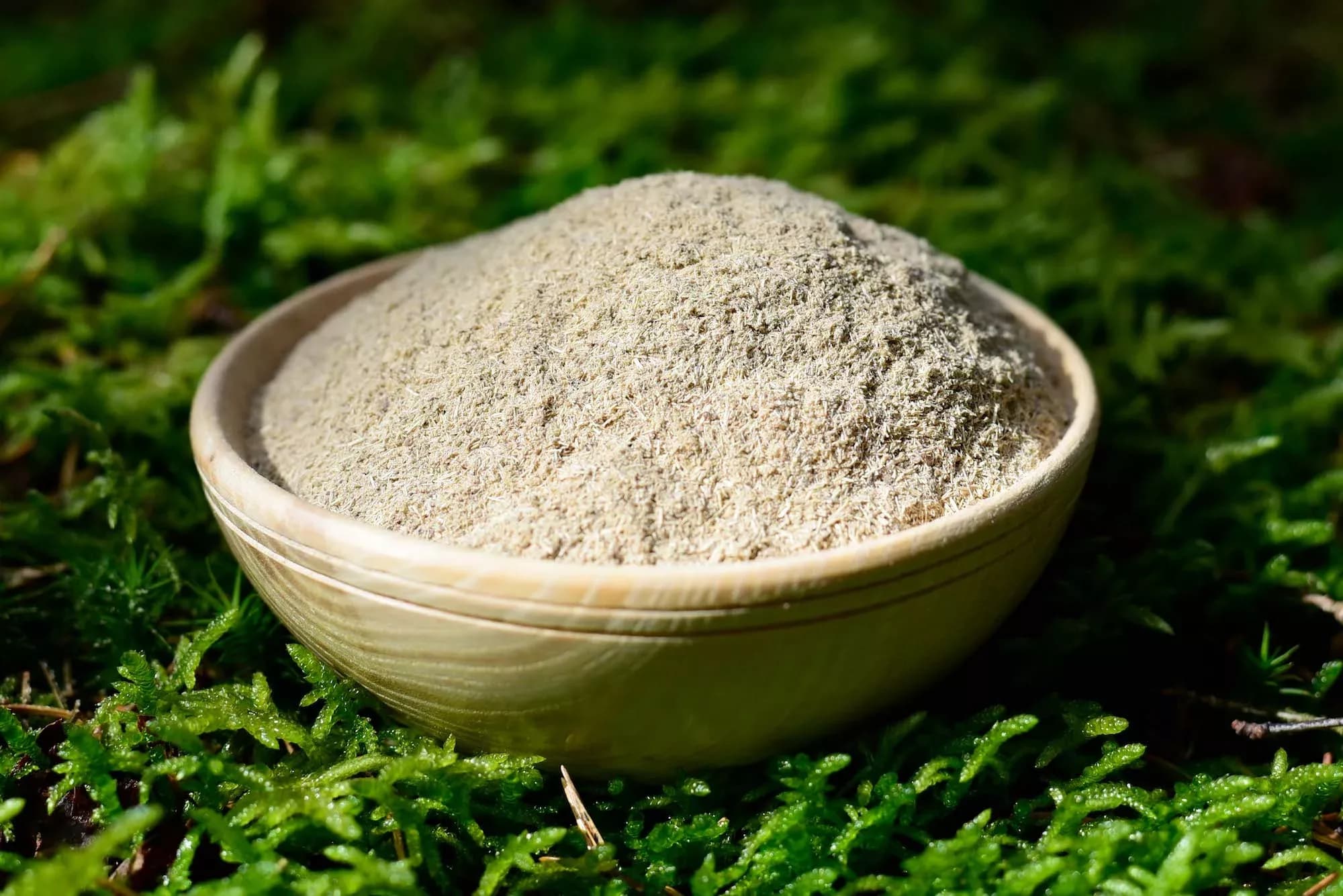 Eleutherococcus — Siberian Ginseng — vue 2