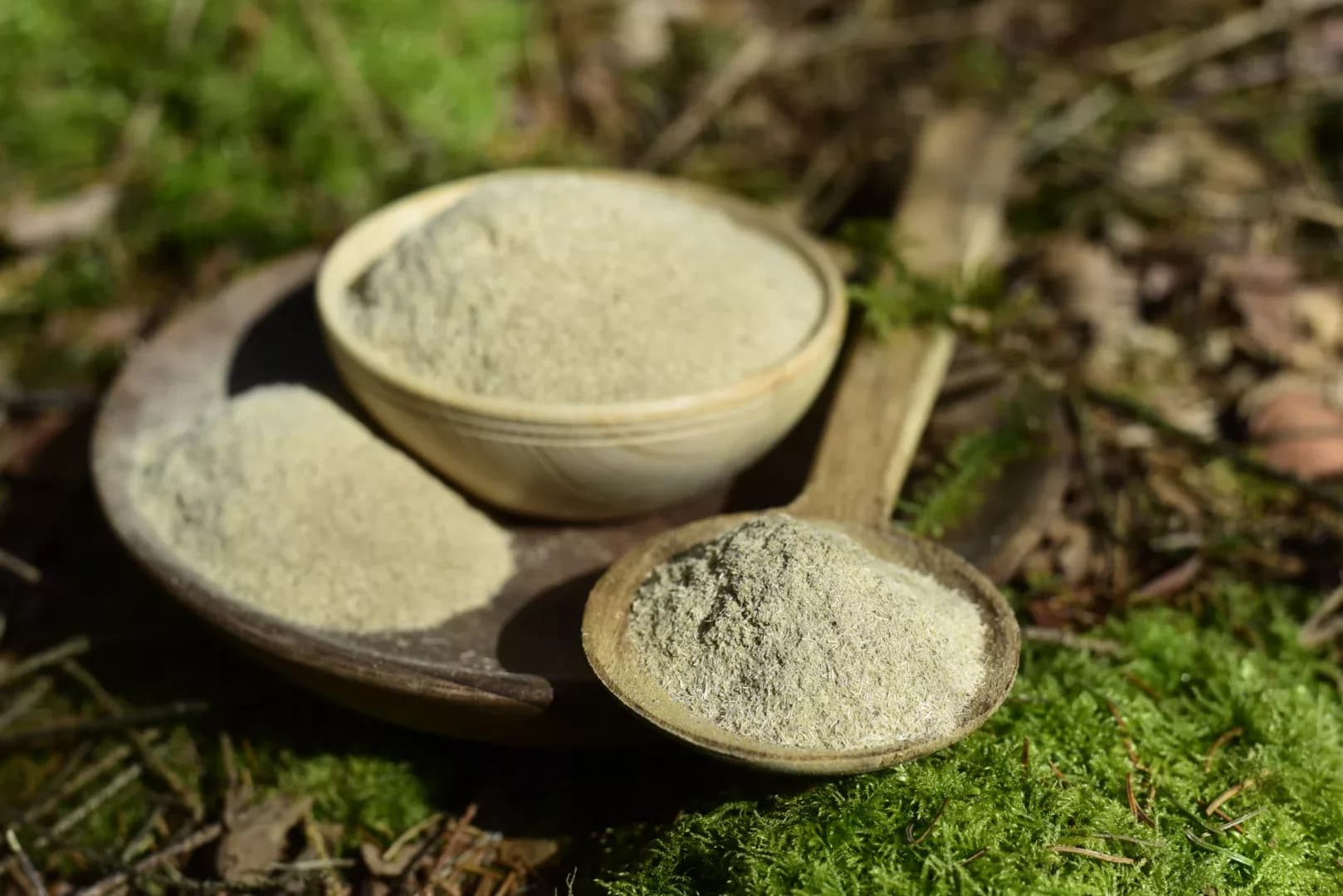 Eleutherococcus — Siberian Ginseng — vue 3