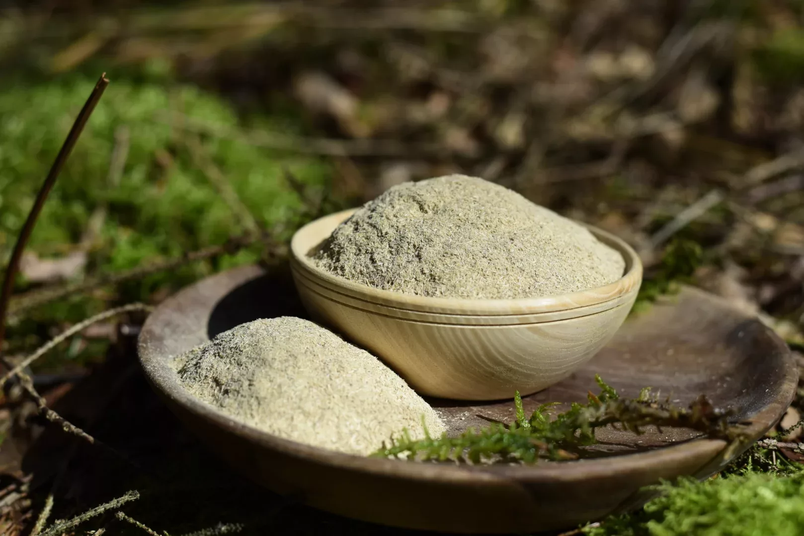 Eleutherococcus — Siberian Ginseng — vue 4