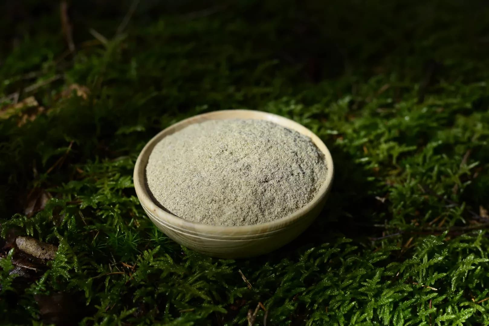 Eleutherococcus — Siberian Ginseng — vue 5