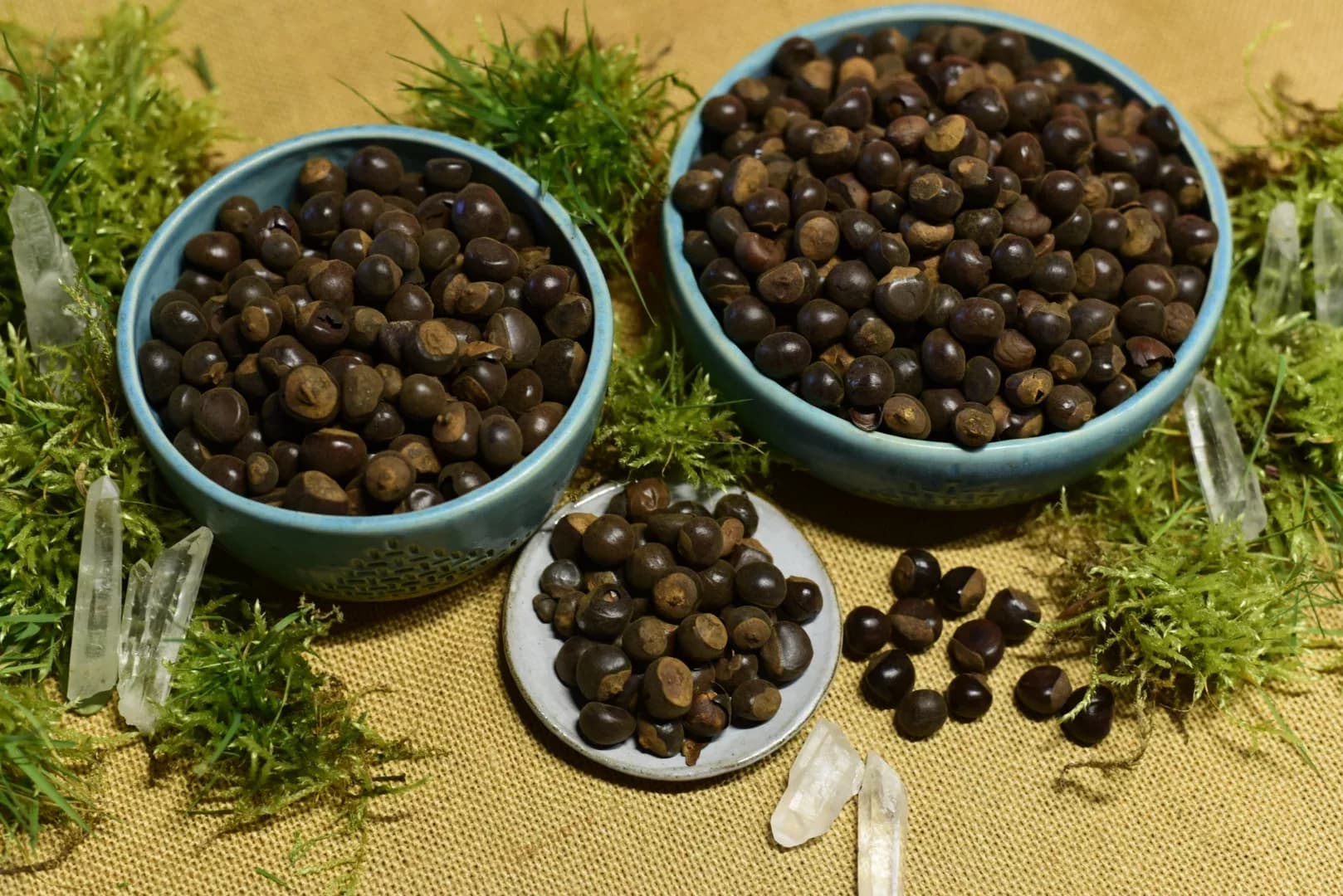Guarana — vue 2