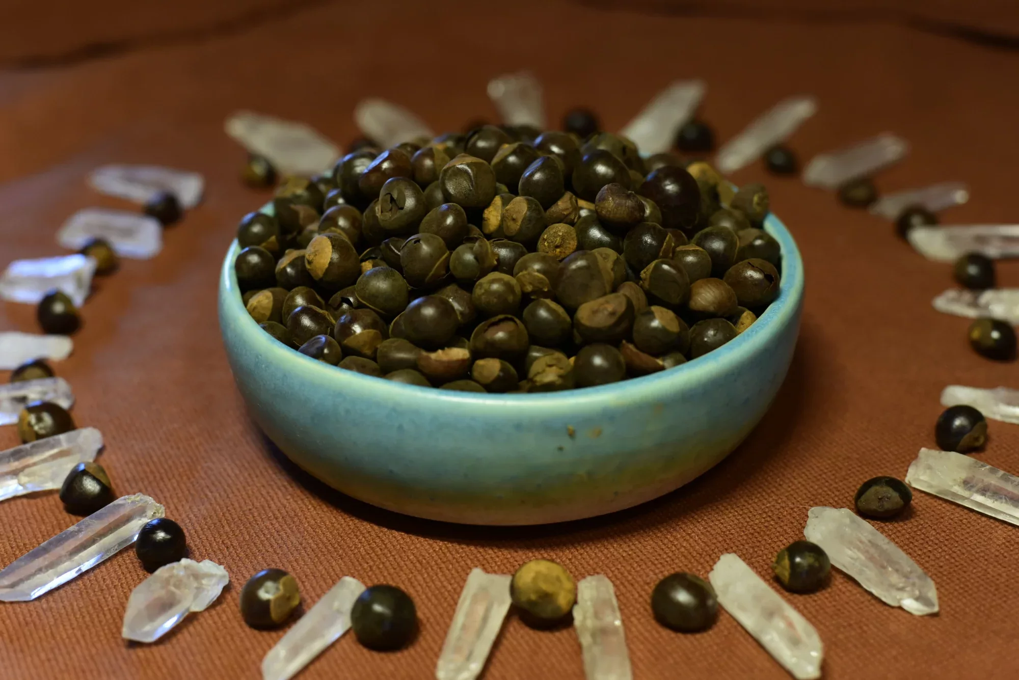 Guarana — vue 6