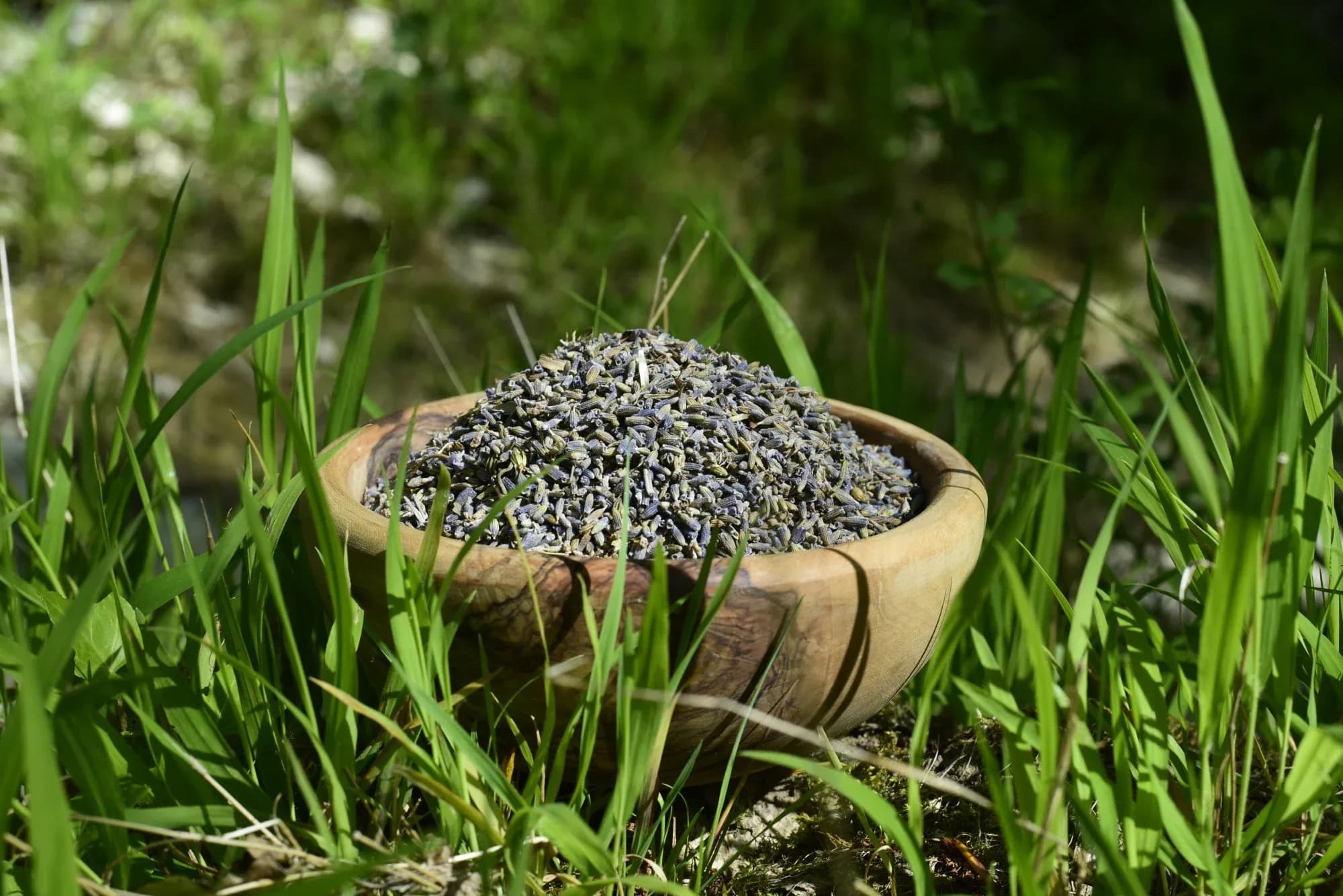 Lavender — vue 3