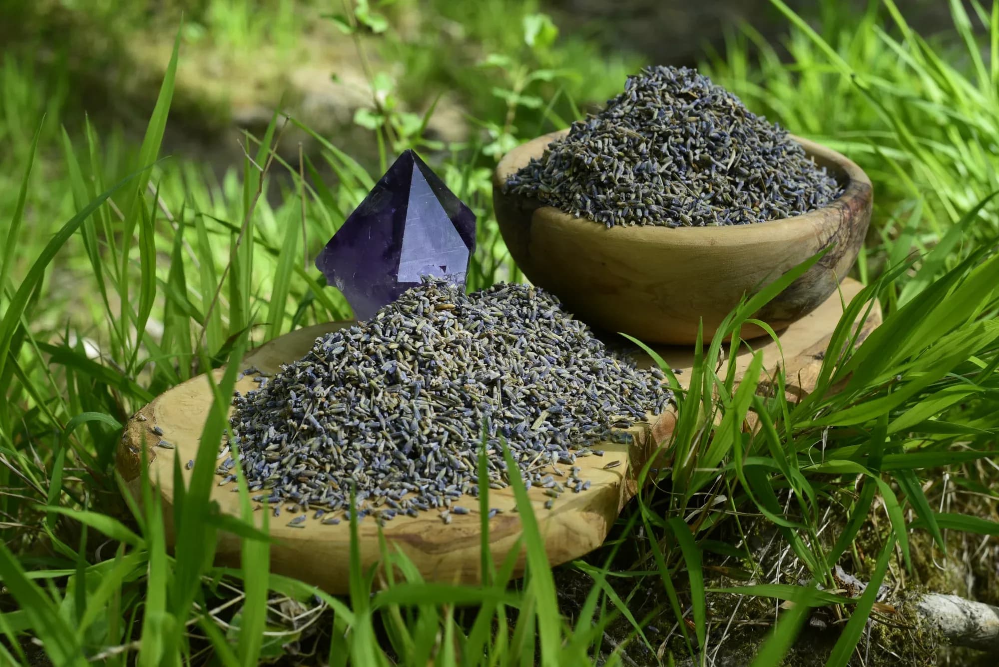 Lavender — vue 4