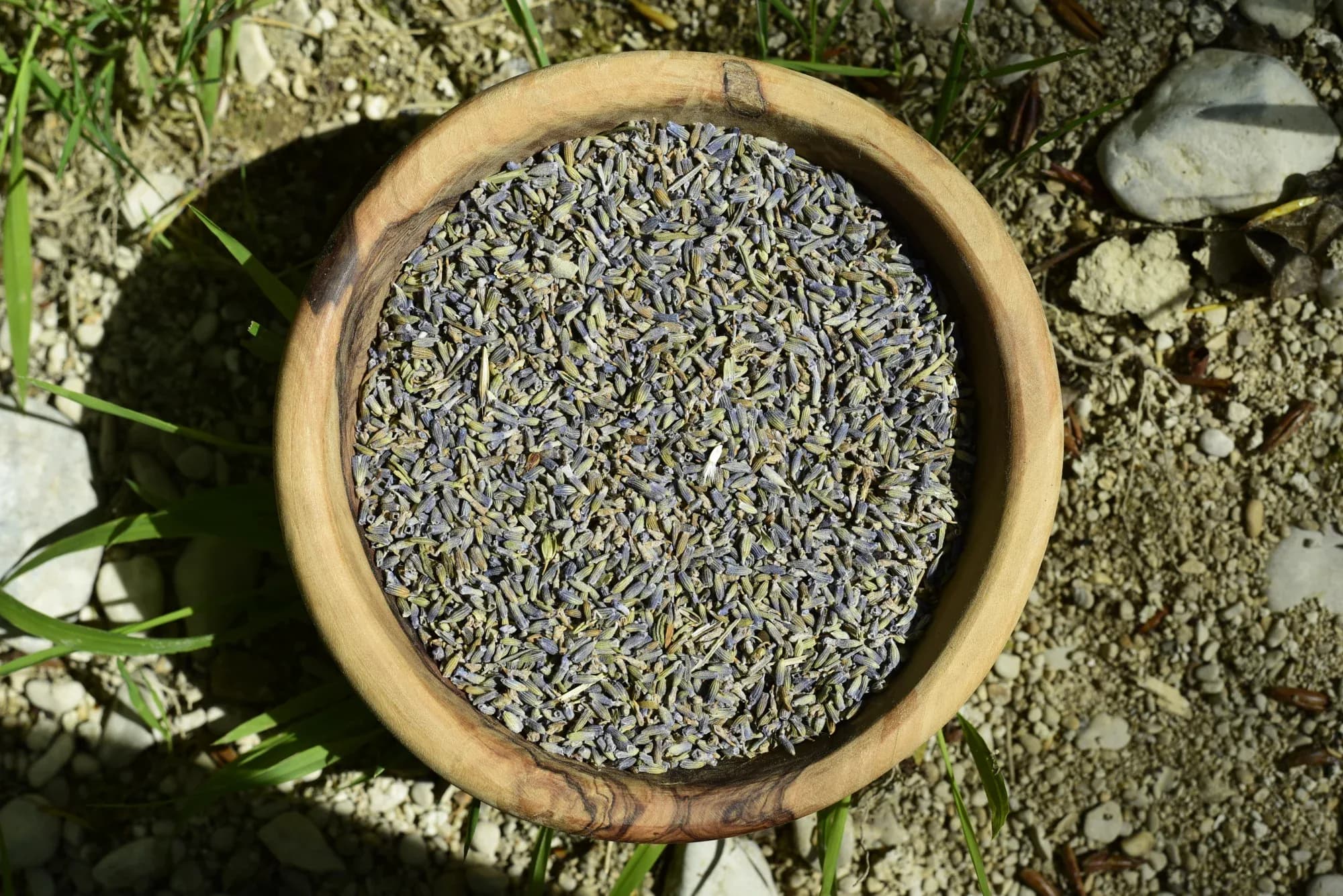 Lavender — vue 5