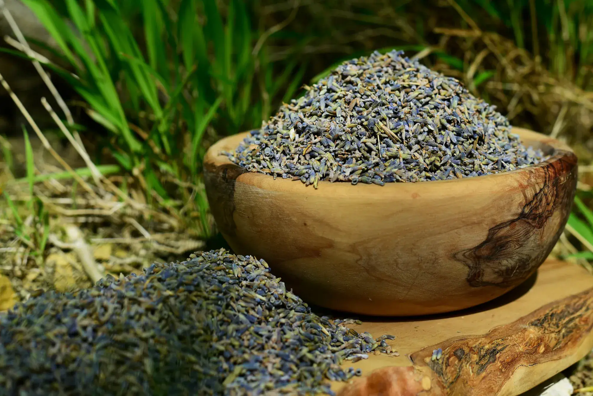 Dried lavender — sobriety, measure, transparency