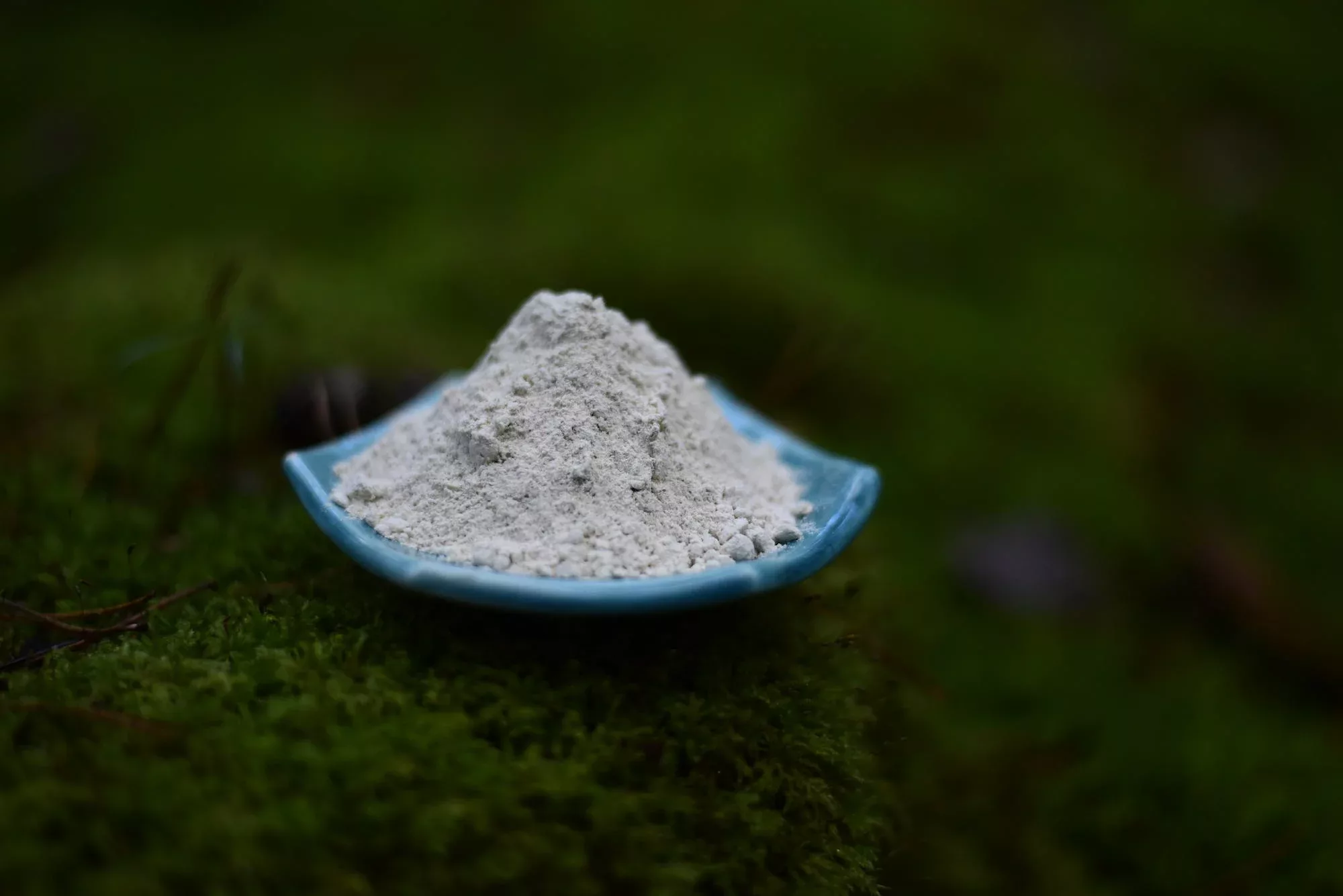 Mucuna Pruriens "Velvet Beans" — vue 3