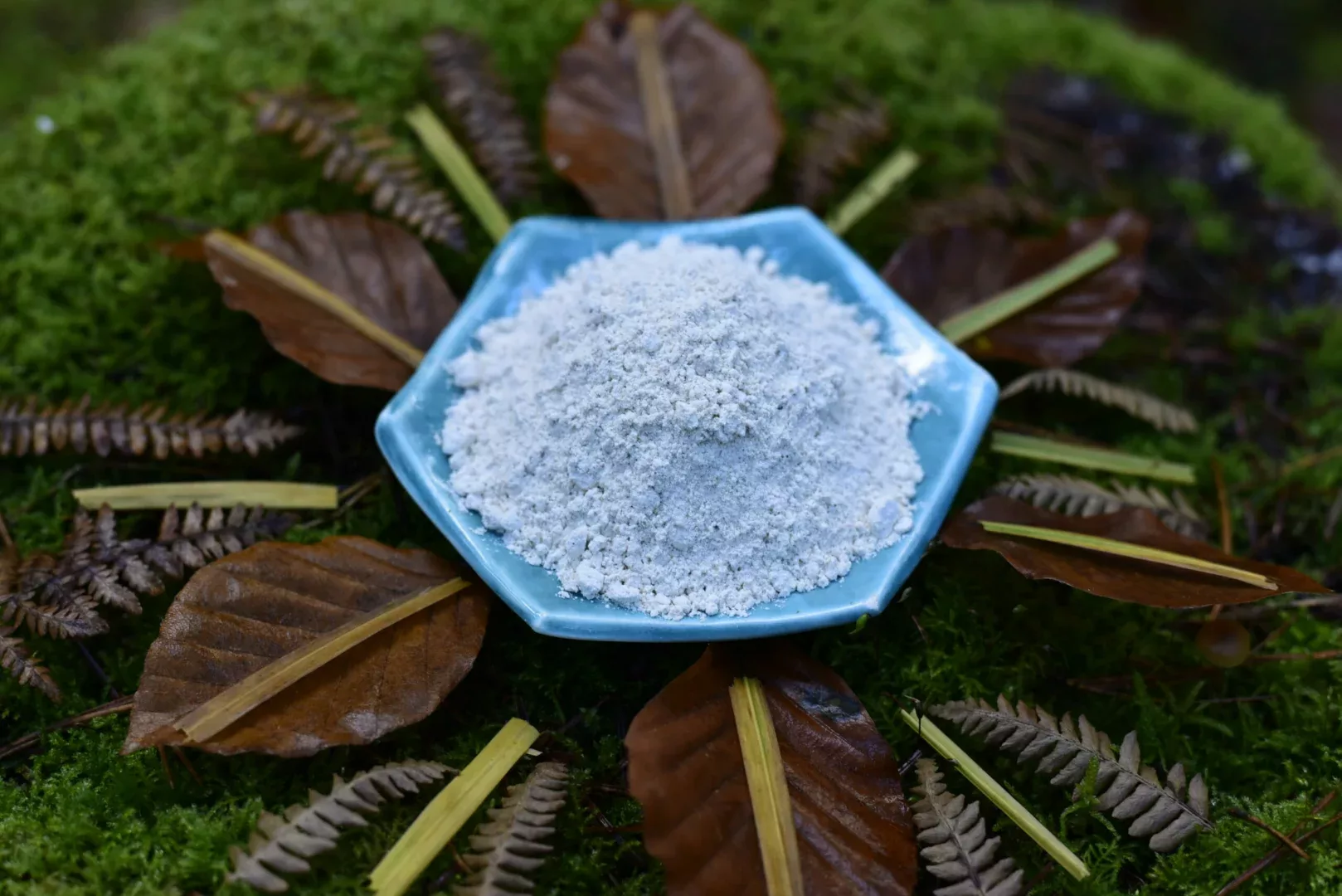 Mucuna Pruriens "Velvet Beans" — vue 4