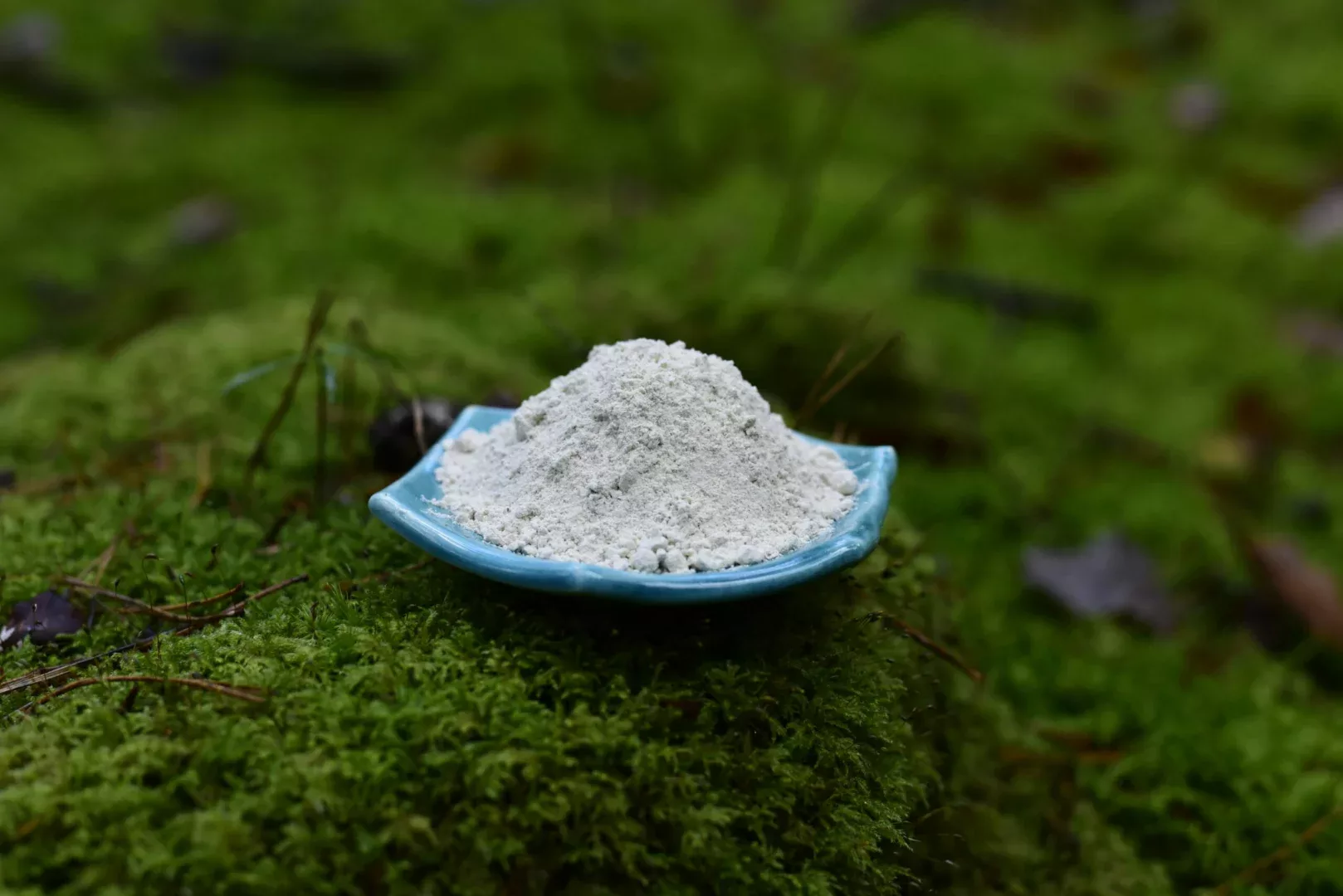 Mucuna Pruriens "Velvet Beans" — vue 5