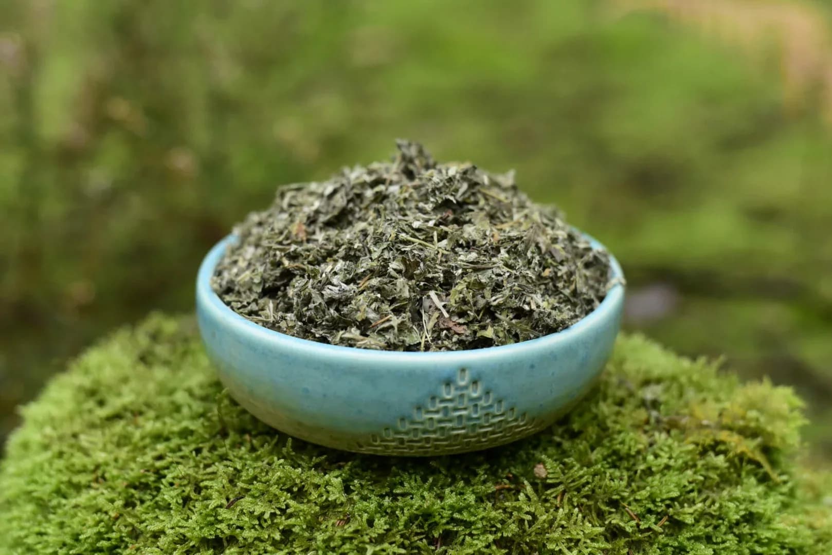 Mugwort — vue 3