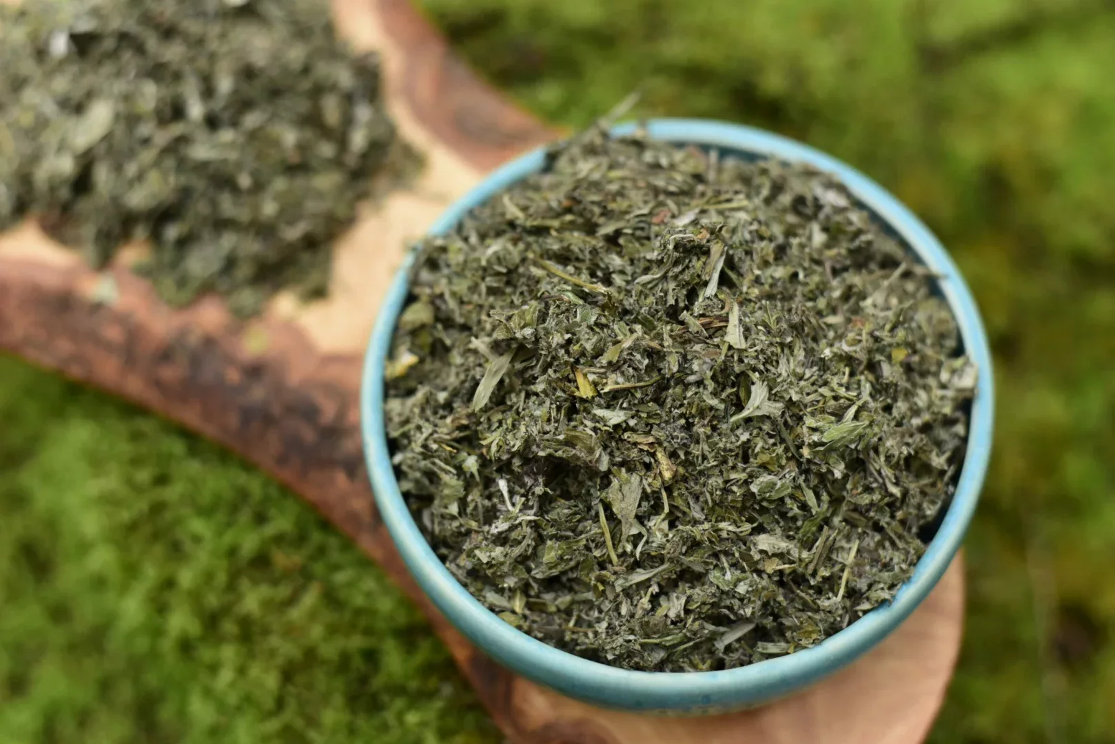 Mugwort — vue 4
