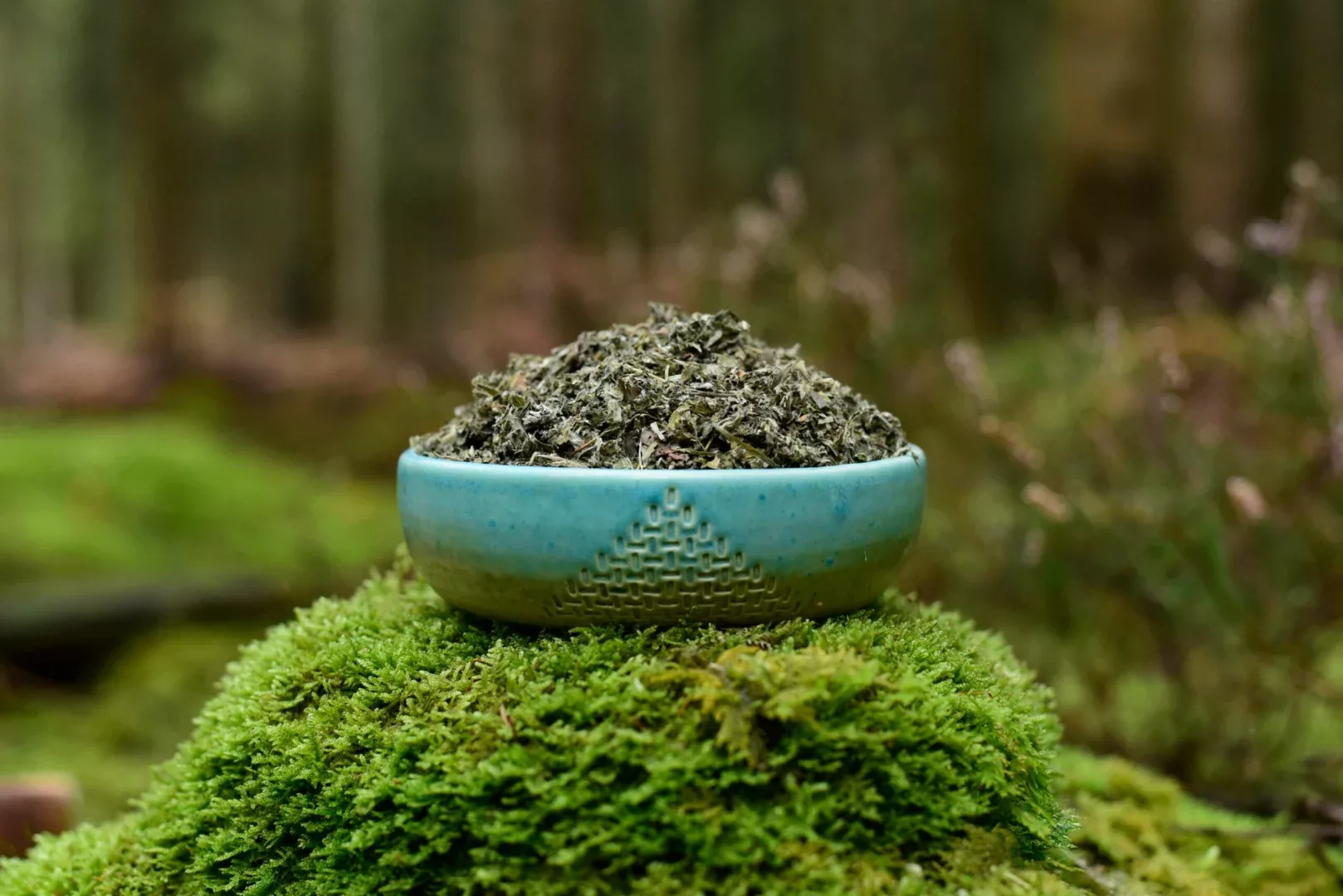 Mugwort — vue 5