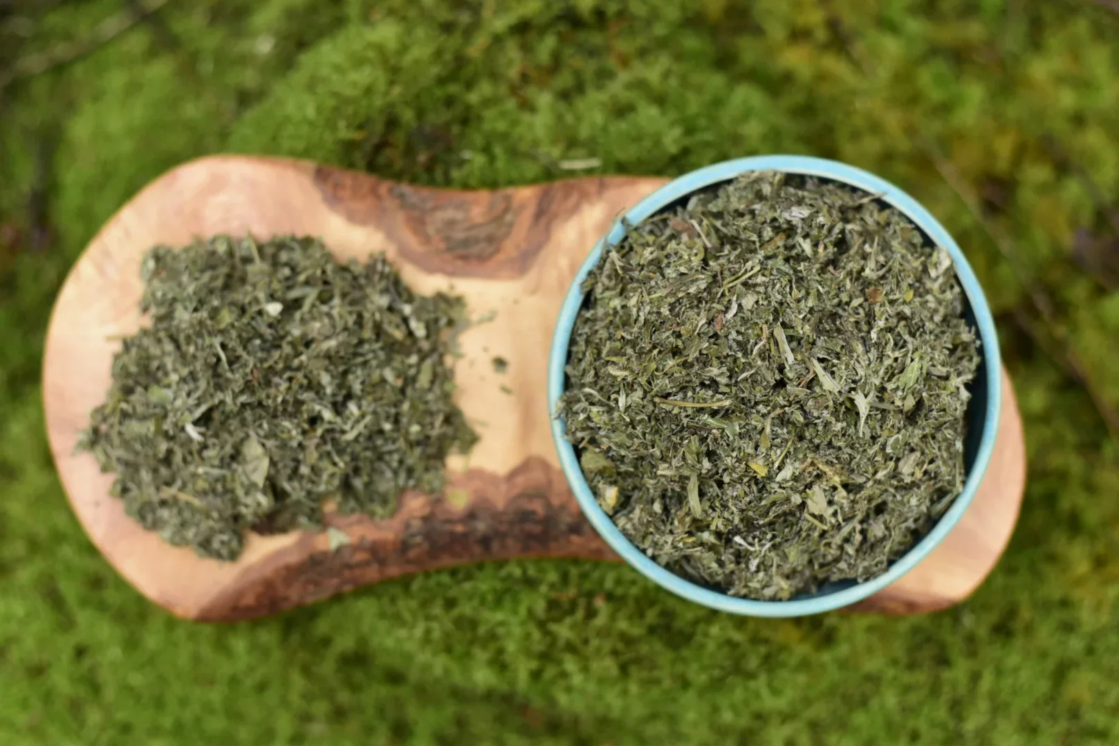 Mugwort — vue 6