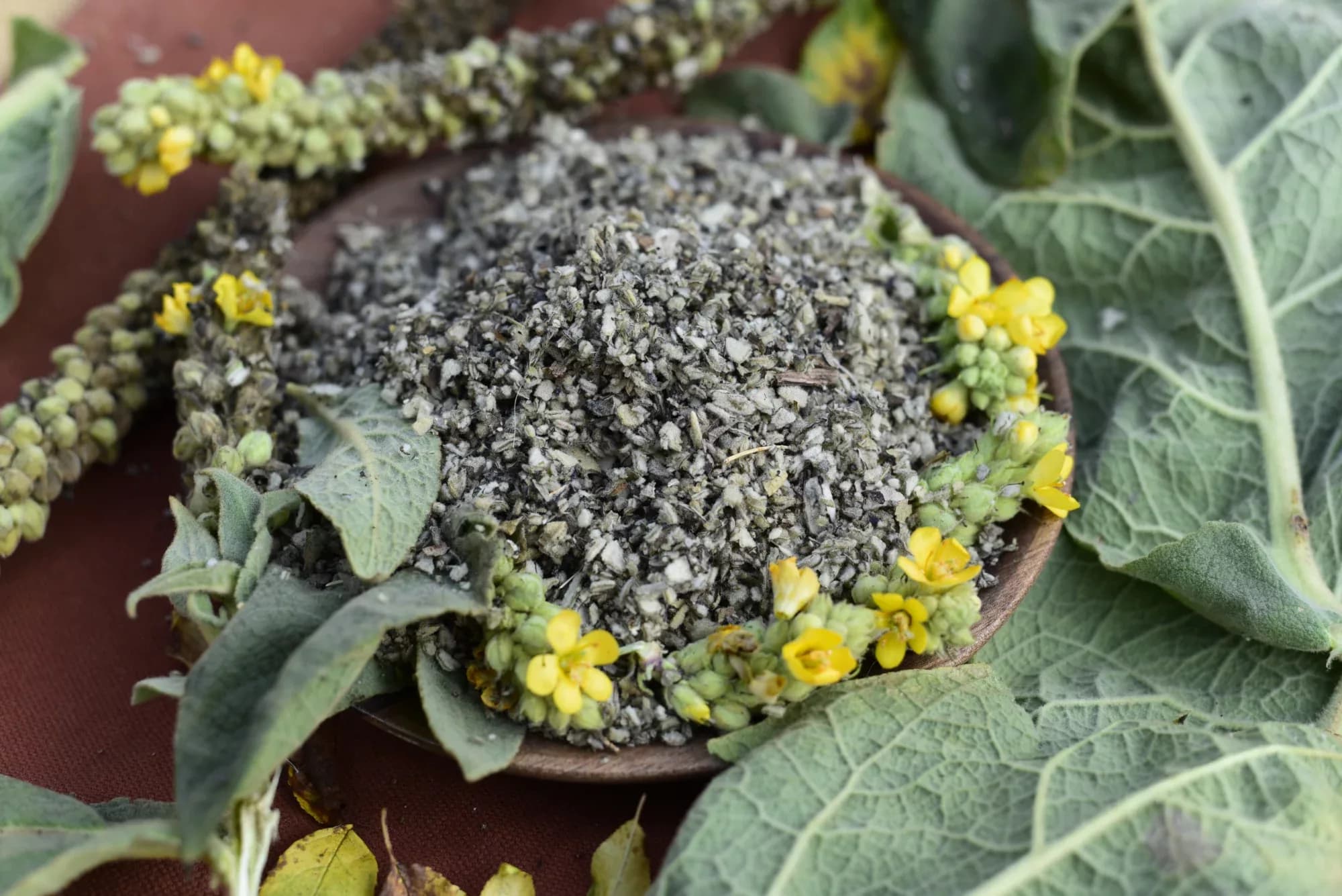 Mullein — vue 2