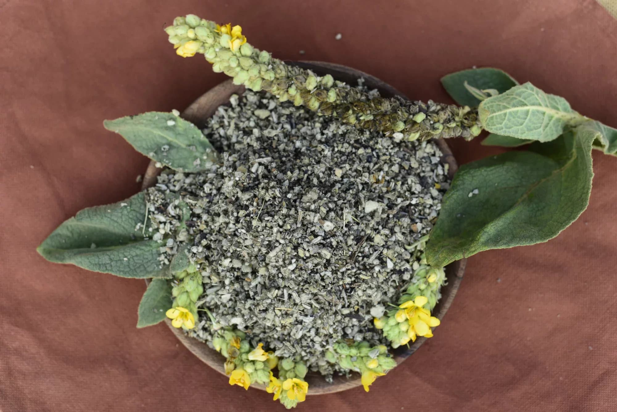 Mullein — vue 5