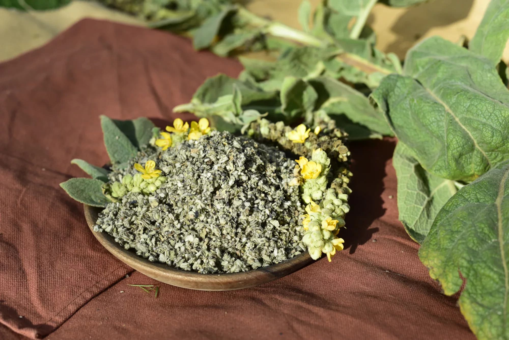 Mullein — vue 6