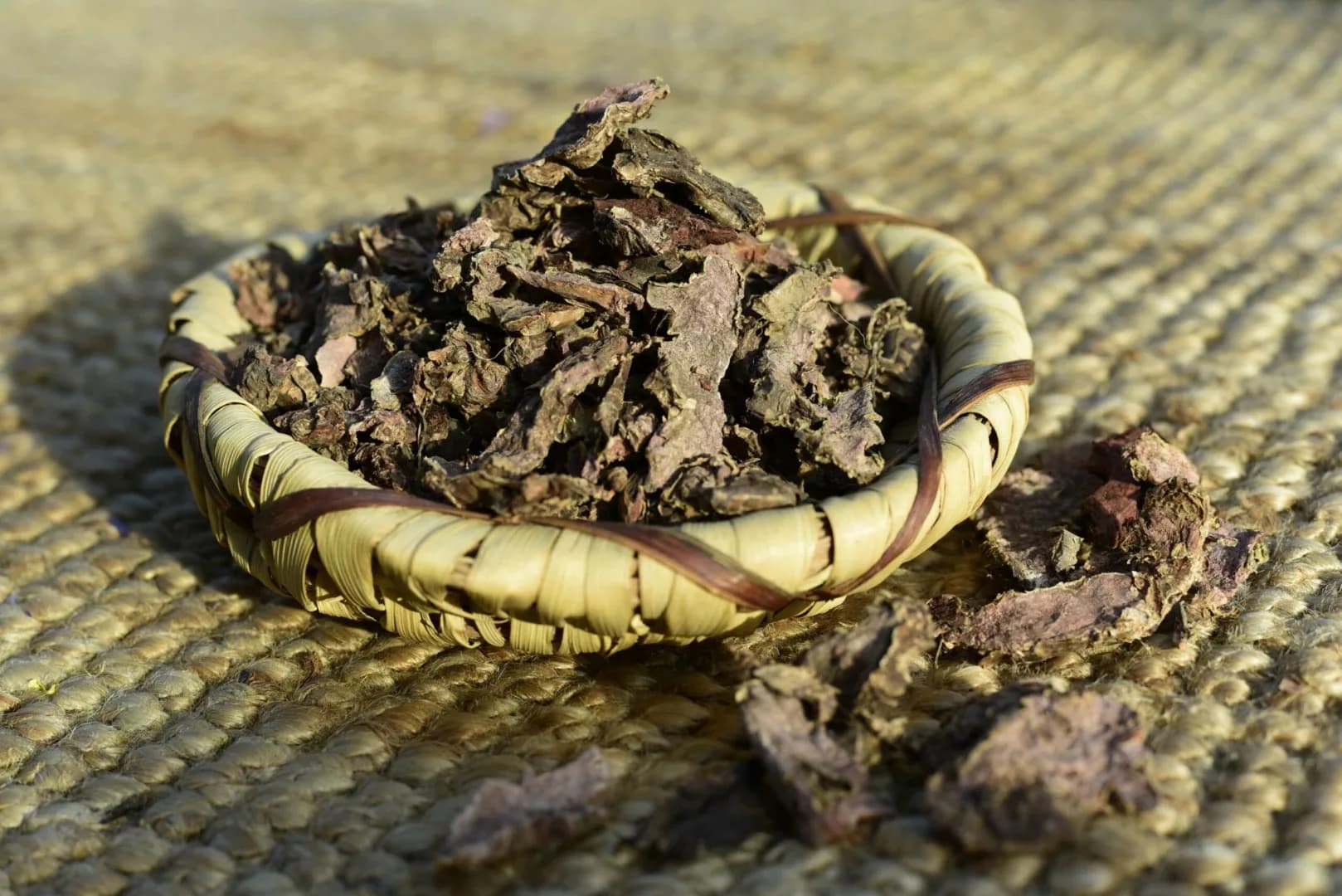 Rhodiola — vue 4