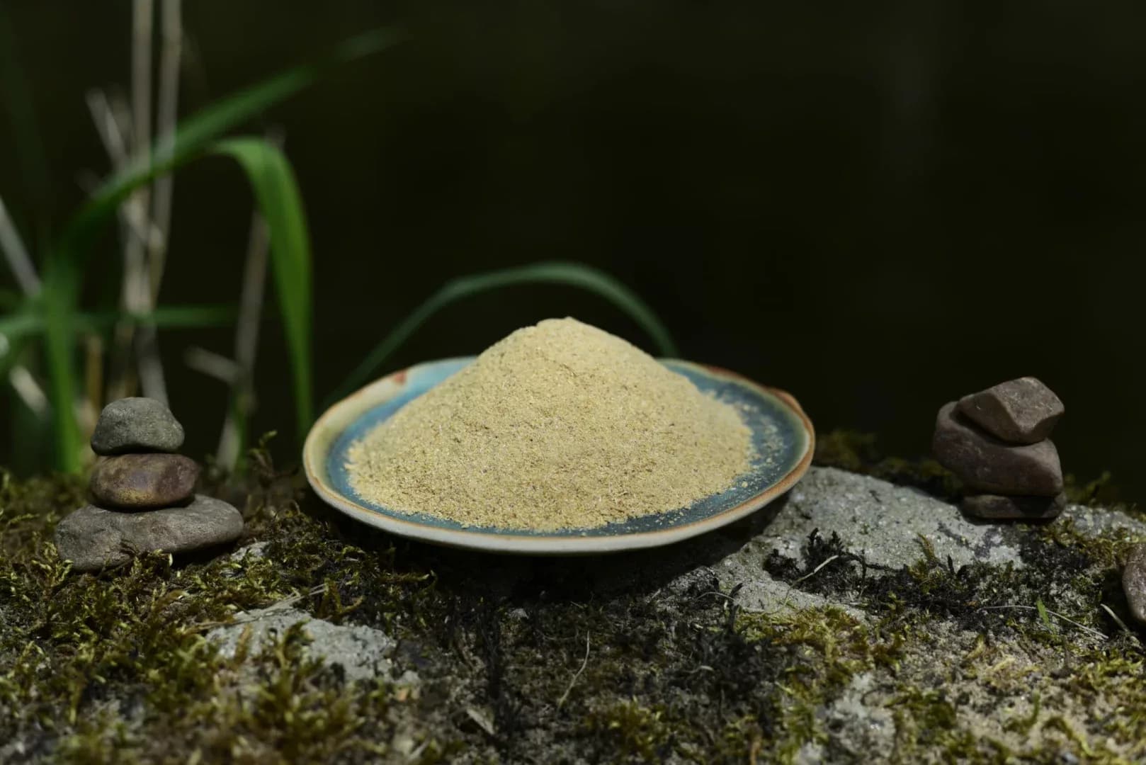 Shatavari — vue 2