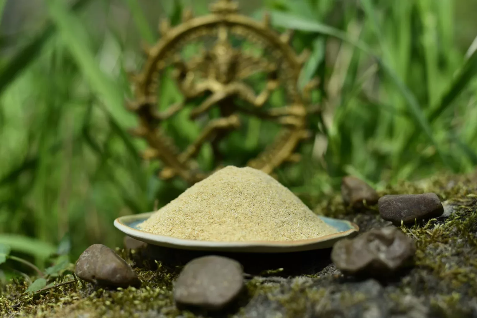 Shatavari — vue 3