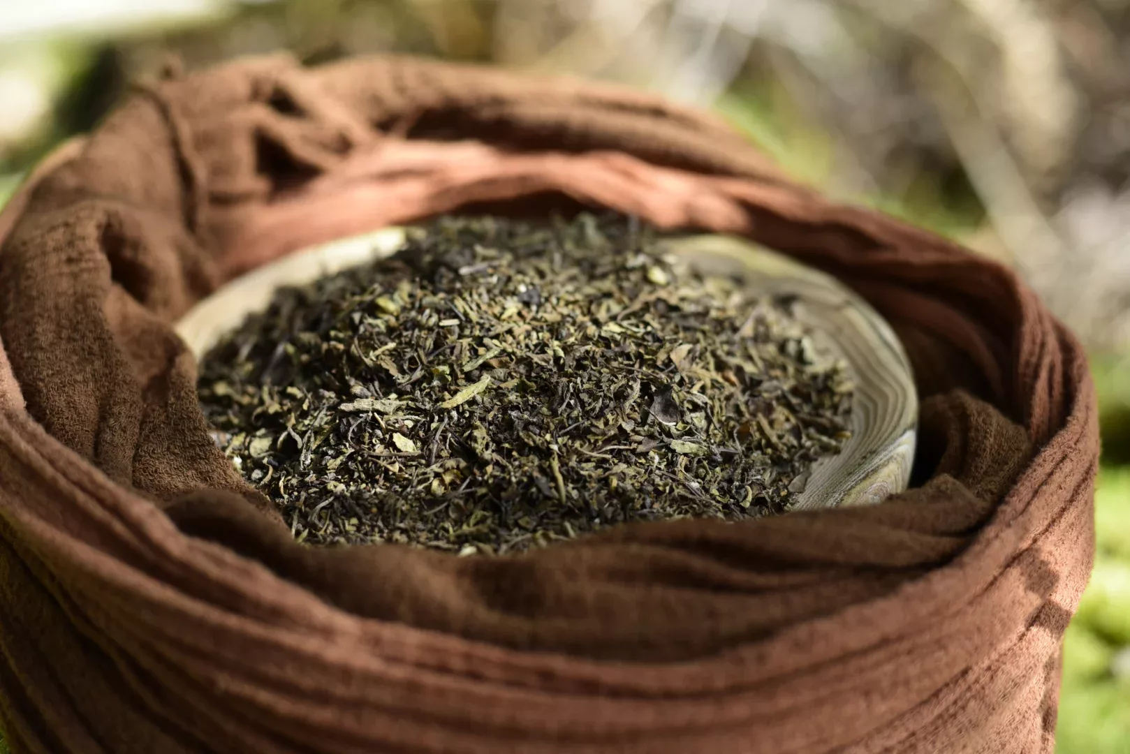 Tulsi - Holy Basil — vue 4