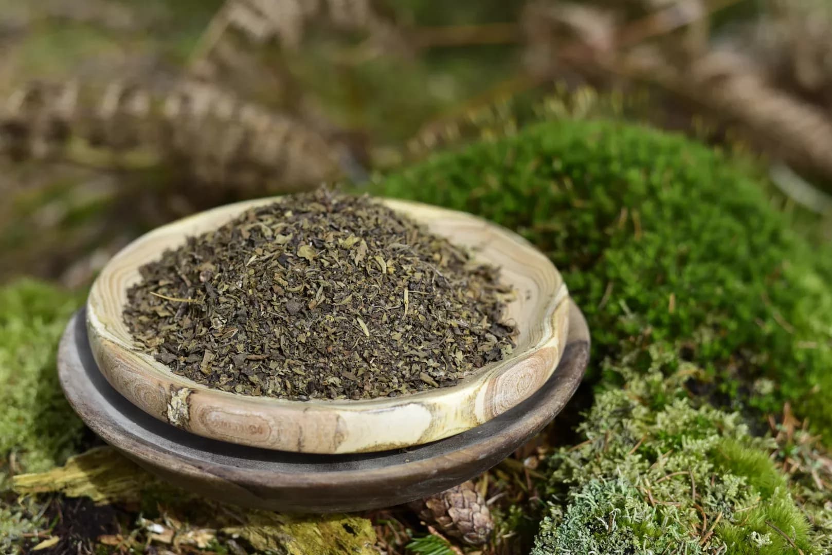 Tulsi - Holy Basil — vue 5