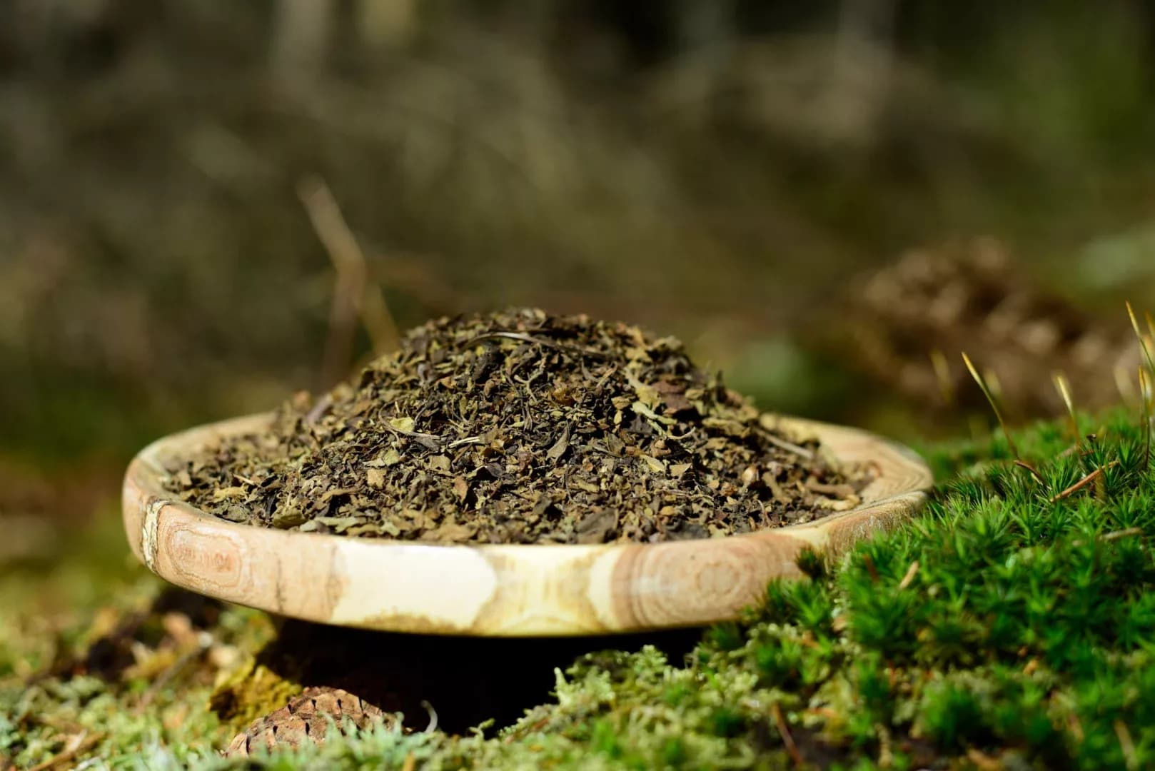 Tulsi - Holy Basil — vue 6