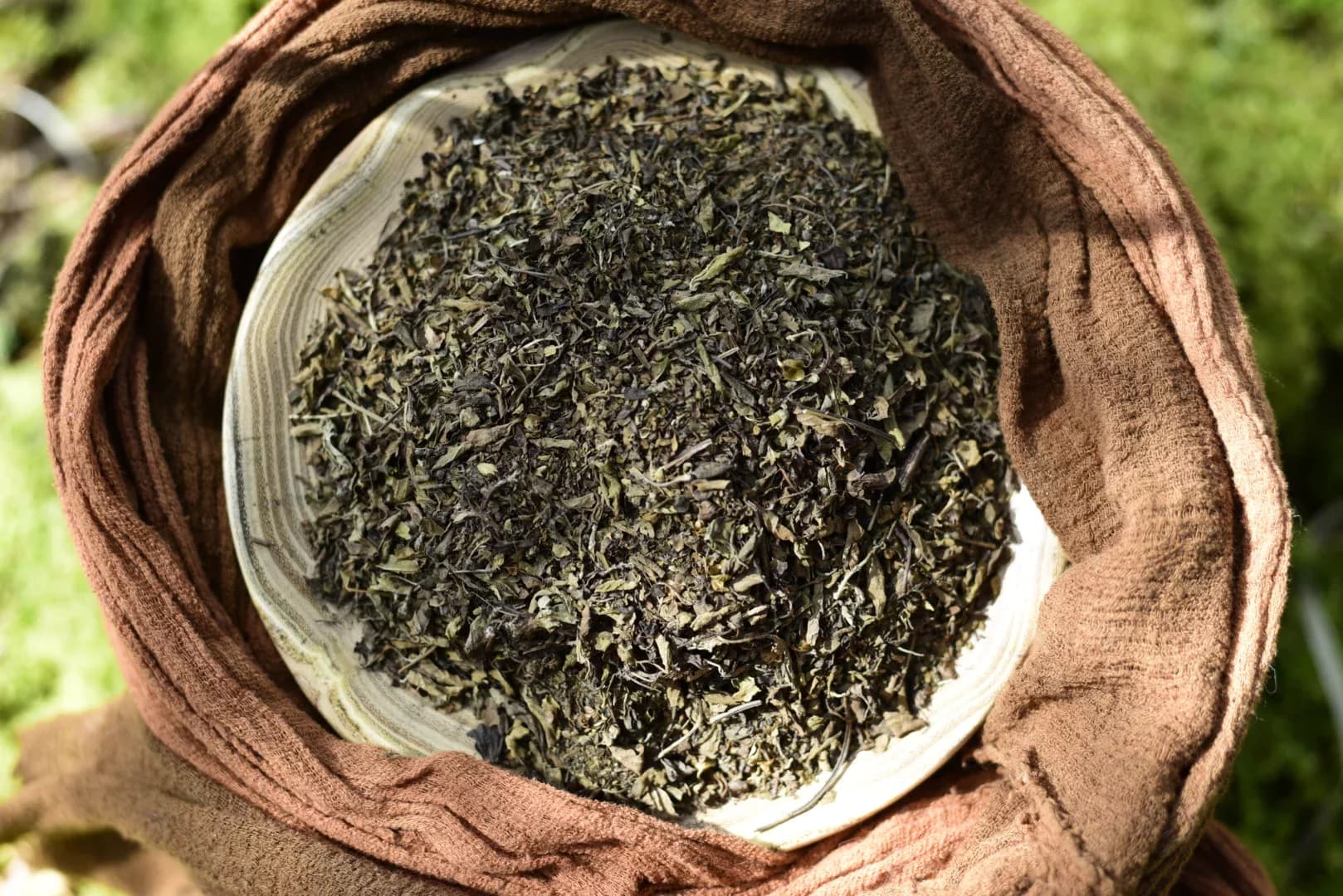 Tulsi - Holy Basil